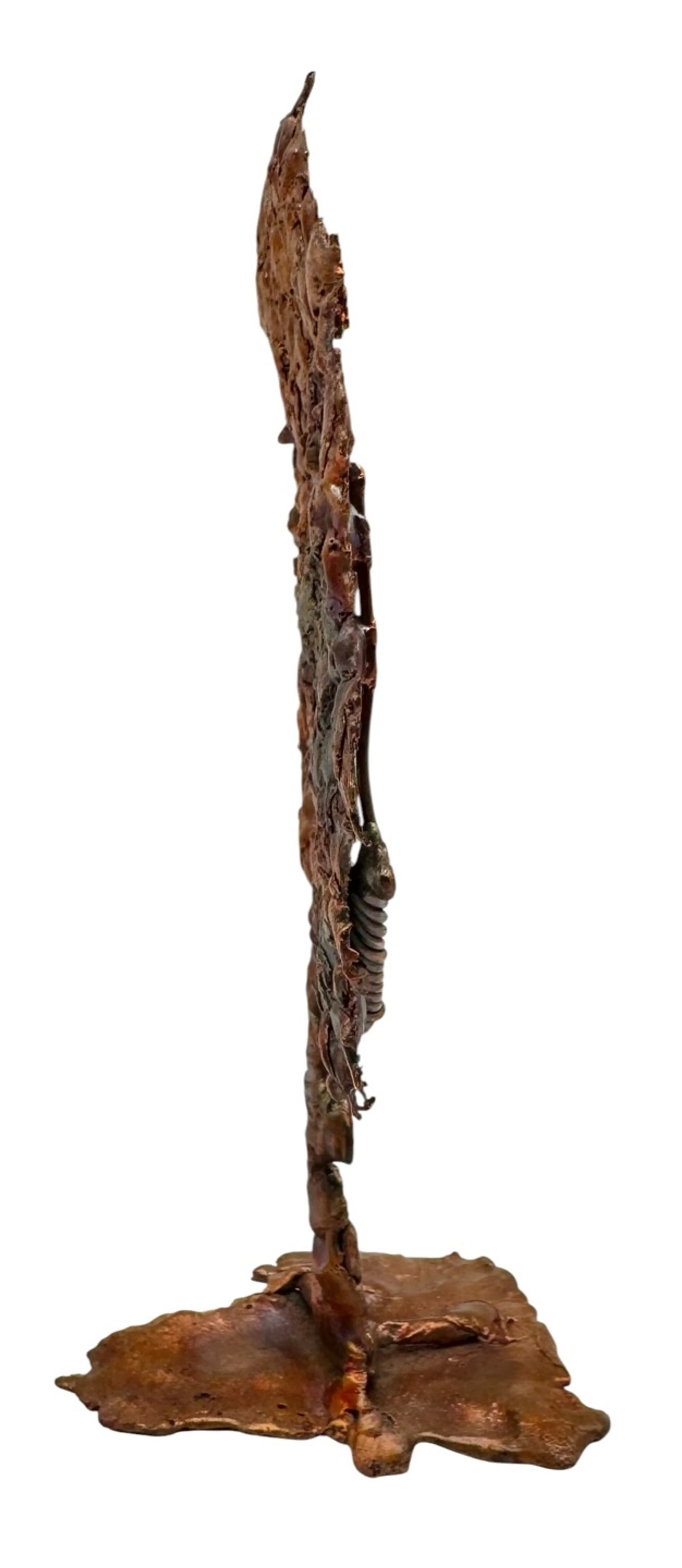 Image 2 of 5