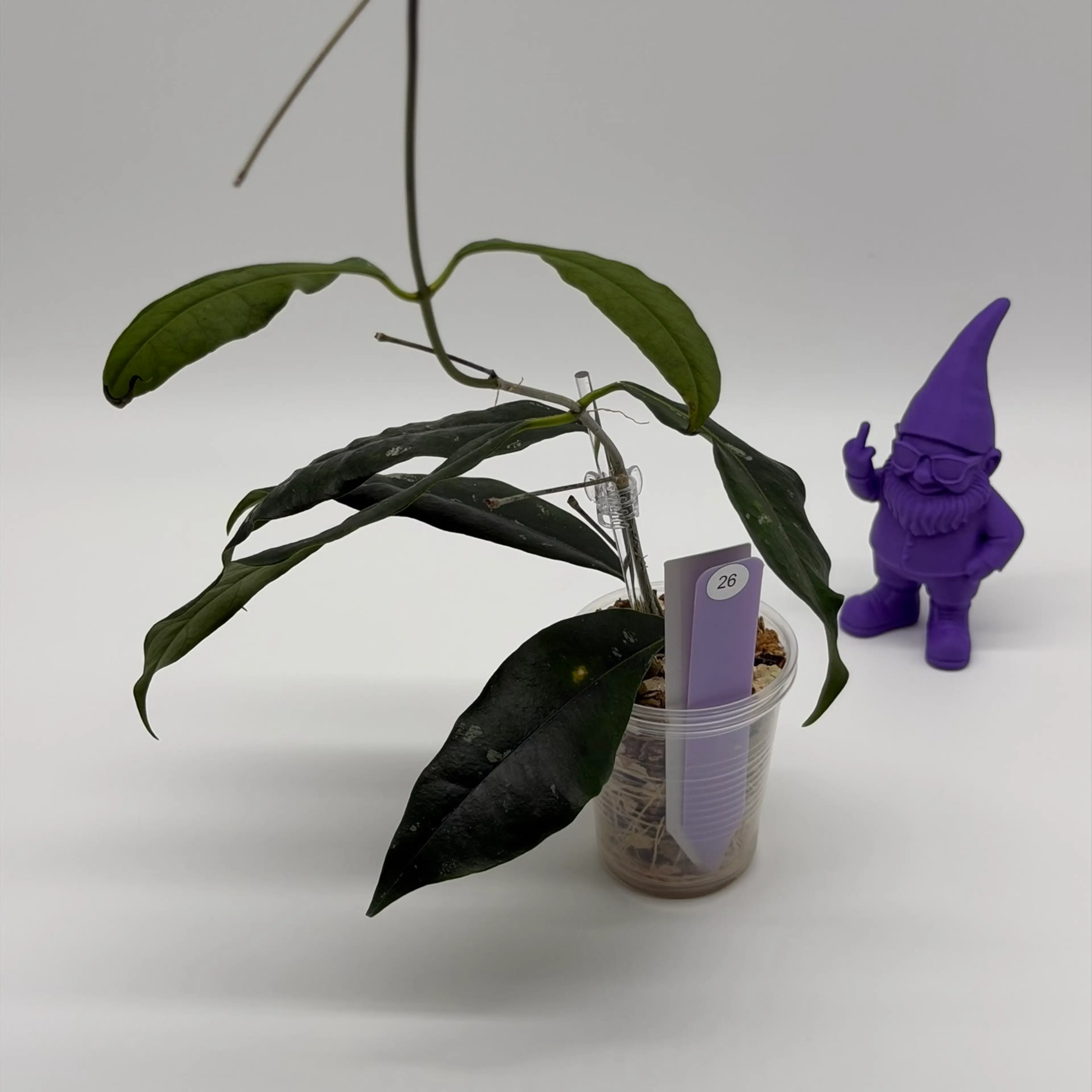 Image 3 of 3