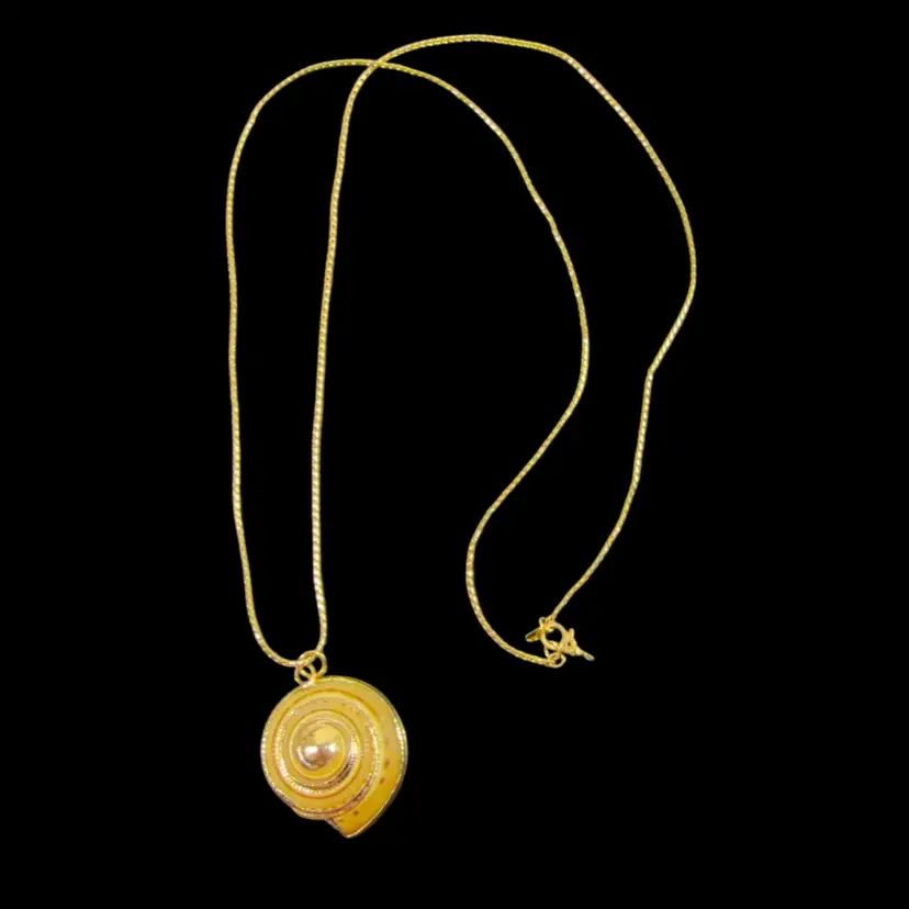 Natural Sundial Seashell Pendant with Gold-toned Electro Formed Edging on a Monet 26” Chain