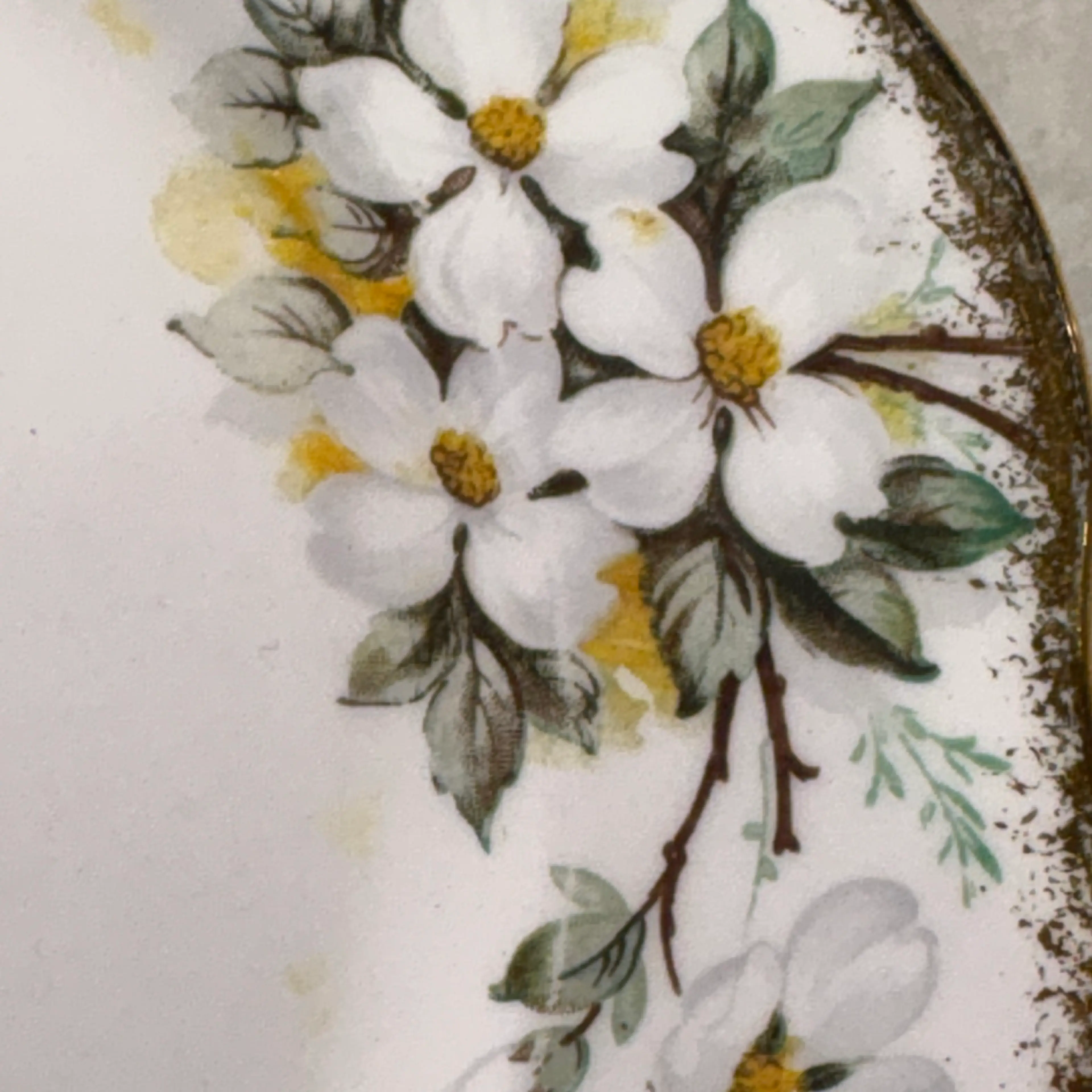 Image 3 of 7