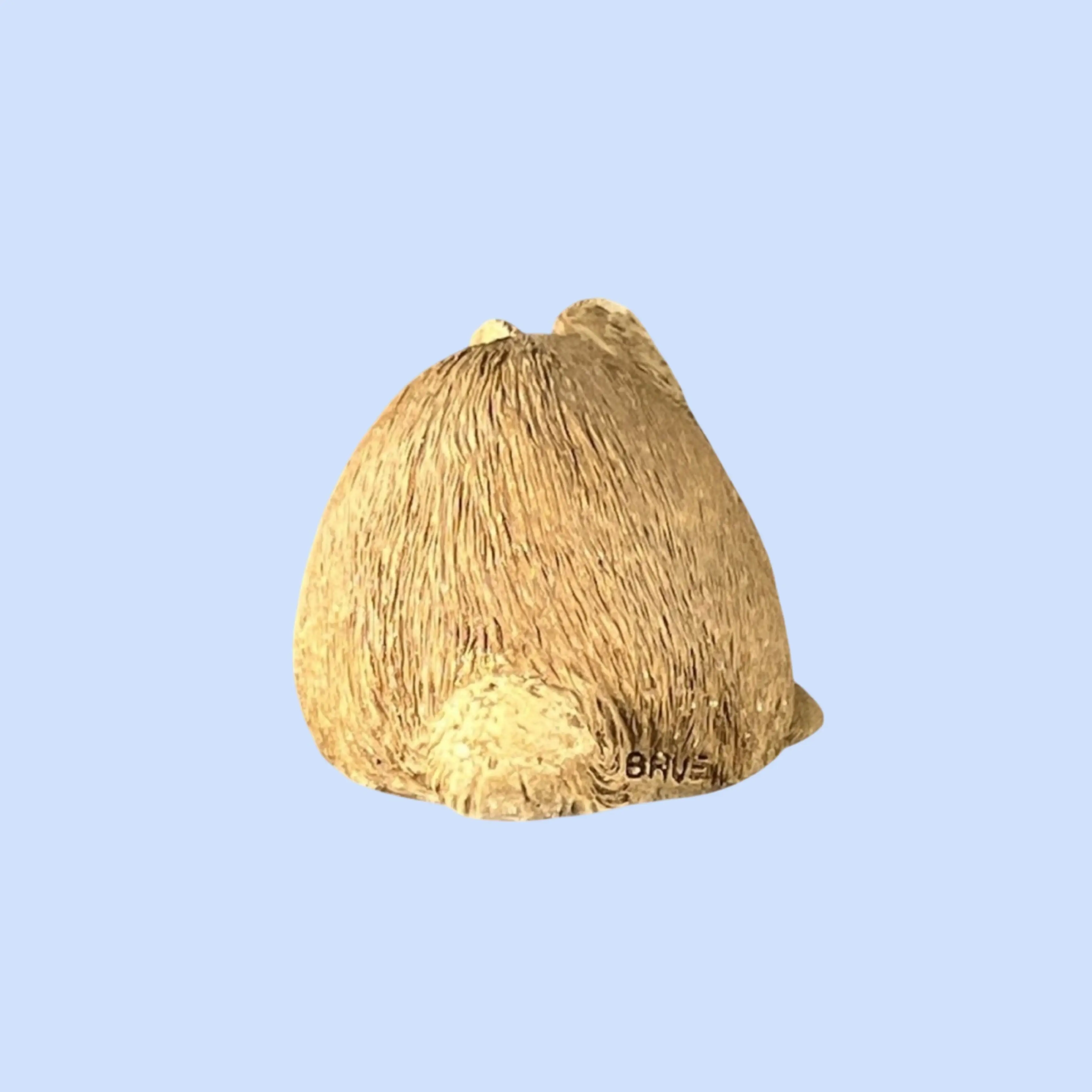 Image 5 of 14