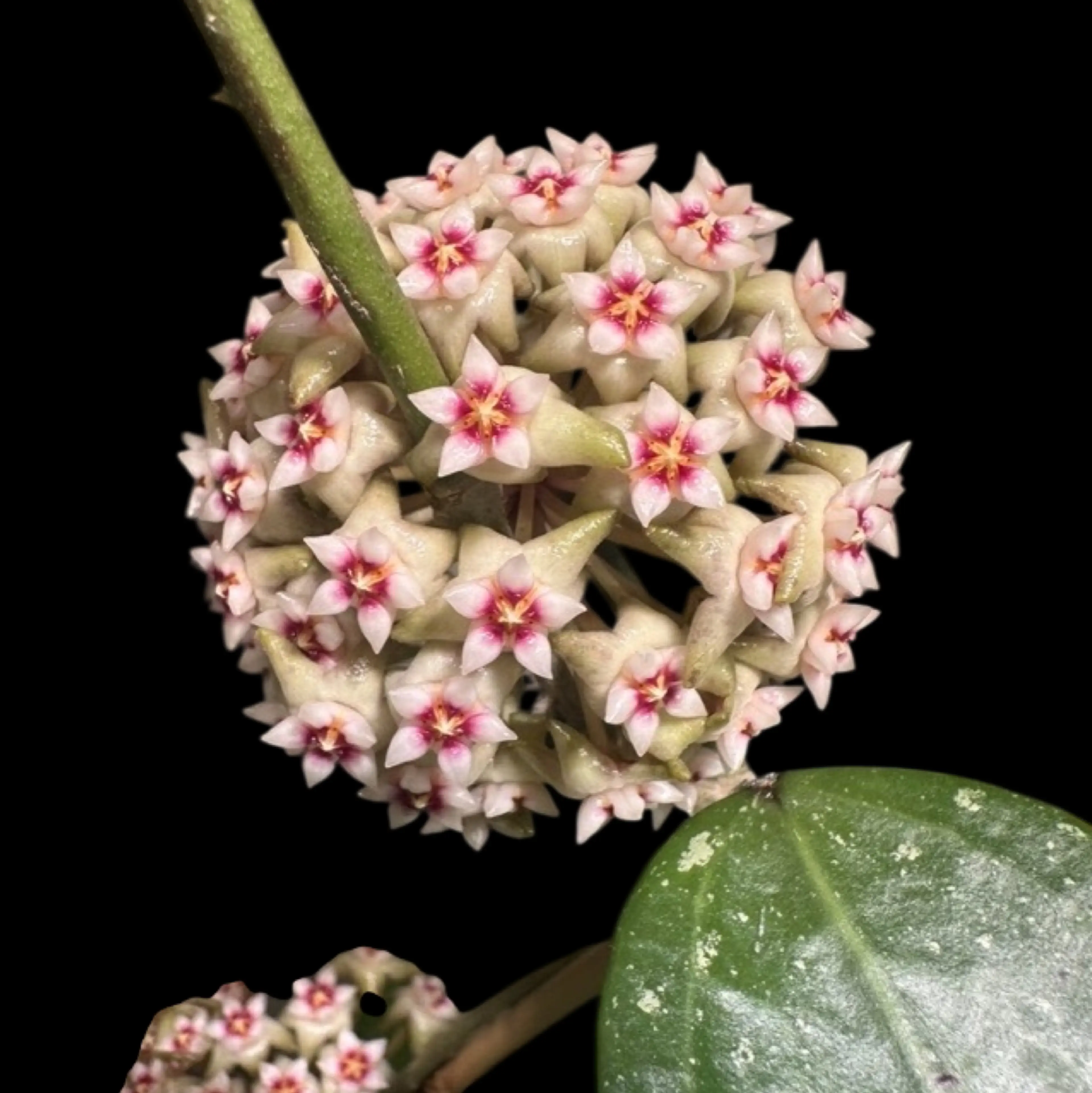 Image 3 of 4