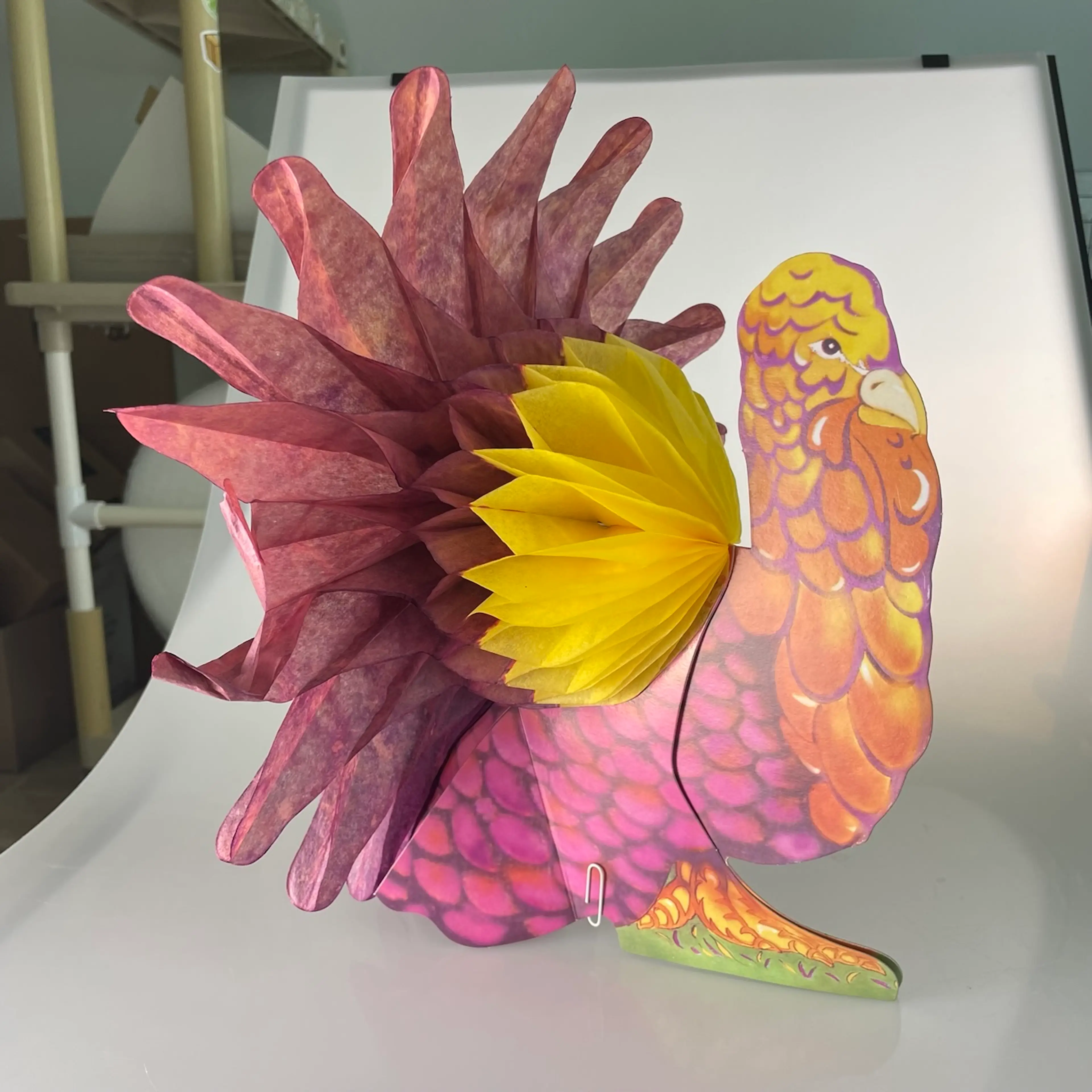 Image 3 of 12