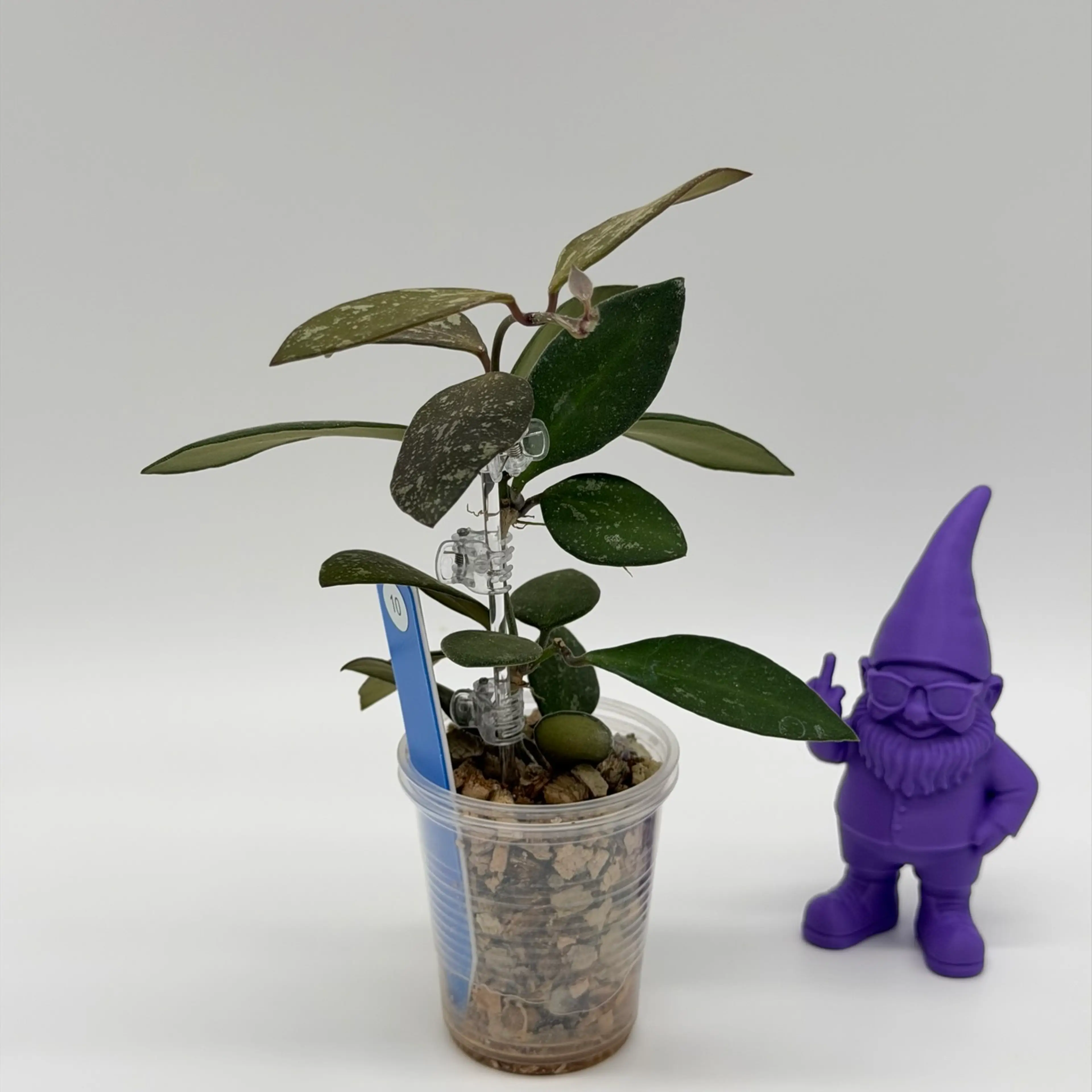 Image 2 of 4