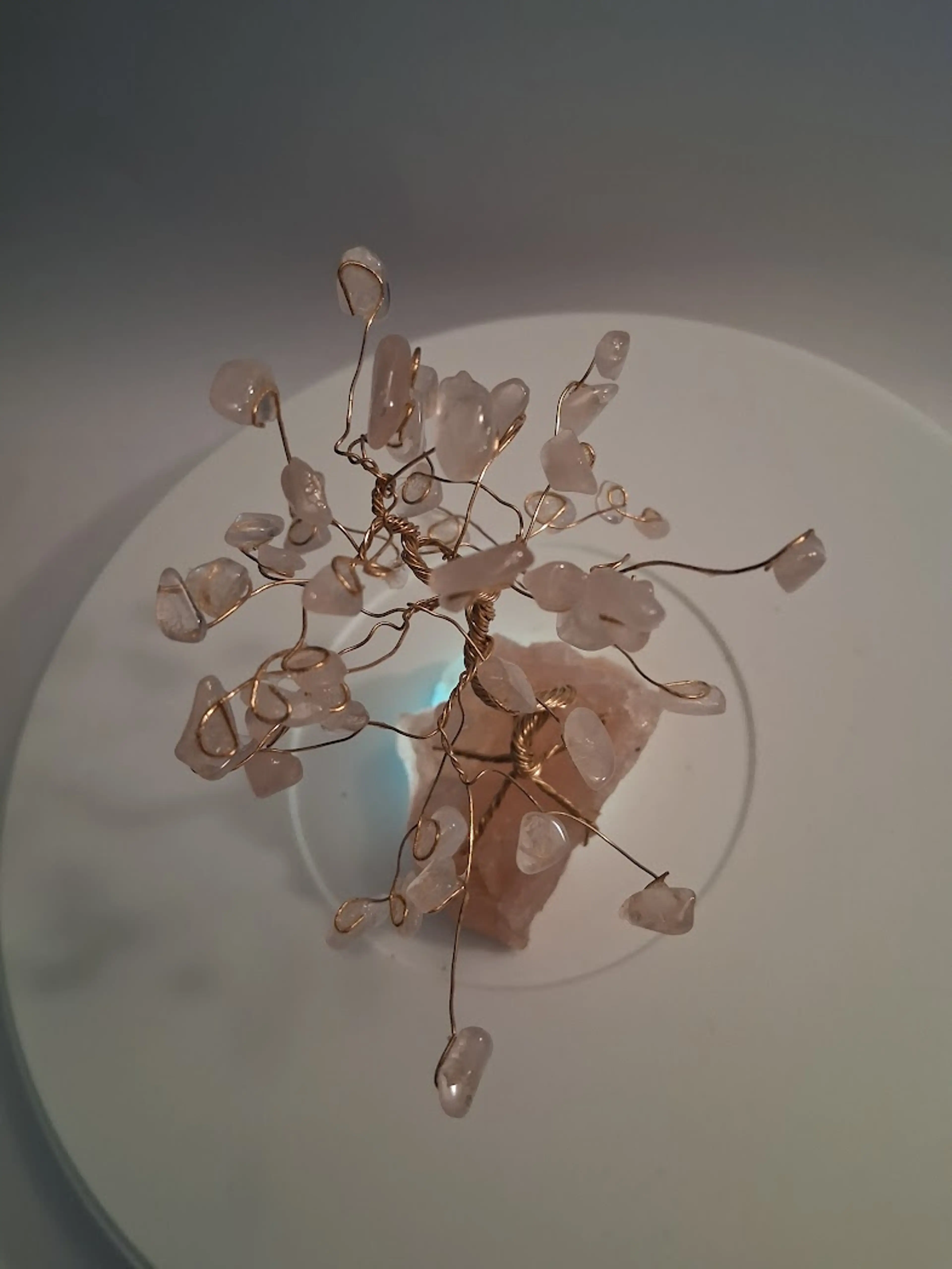 Image 4 of 5