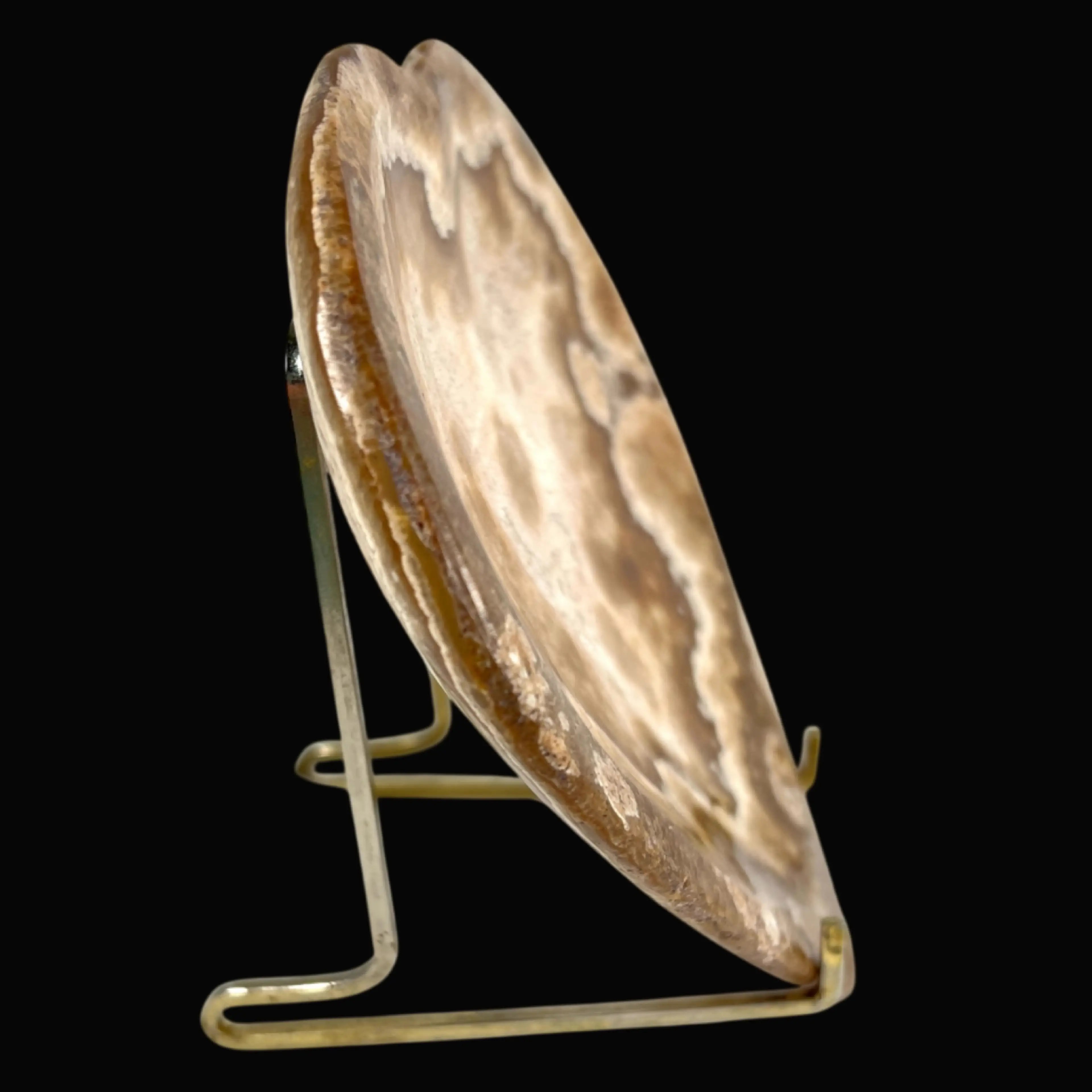Image 3 of 7