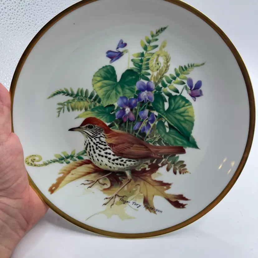 Limoges Songbirds of Roger Tory Peterson Wood Thrush ~ Porcelain Plate 1981