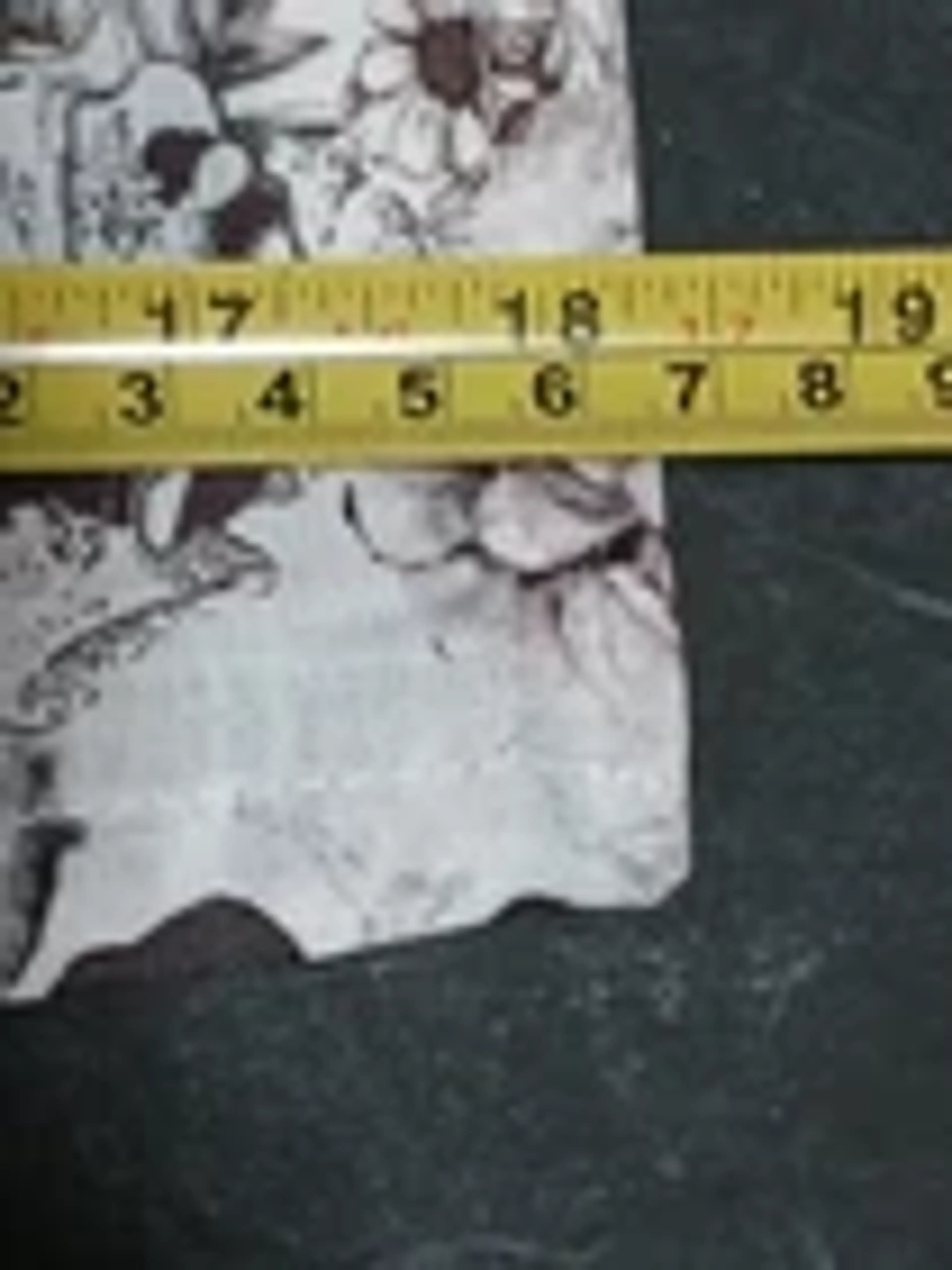Image 5 of 5
