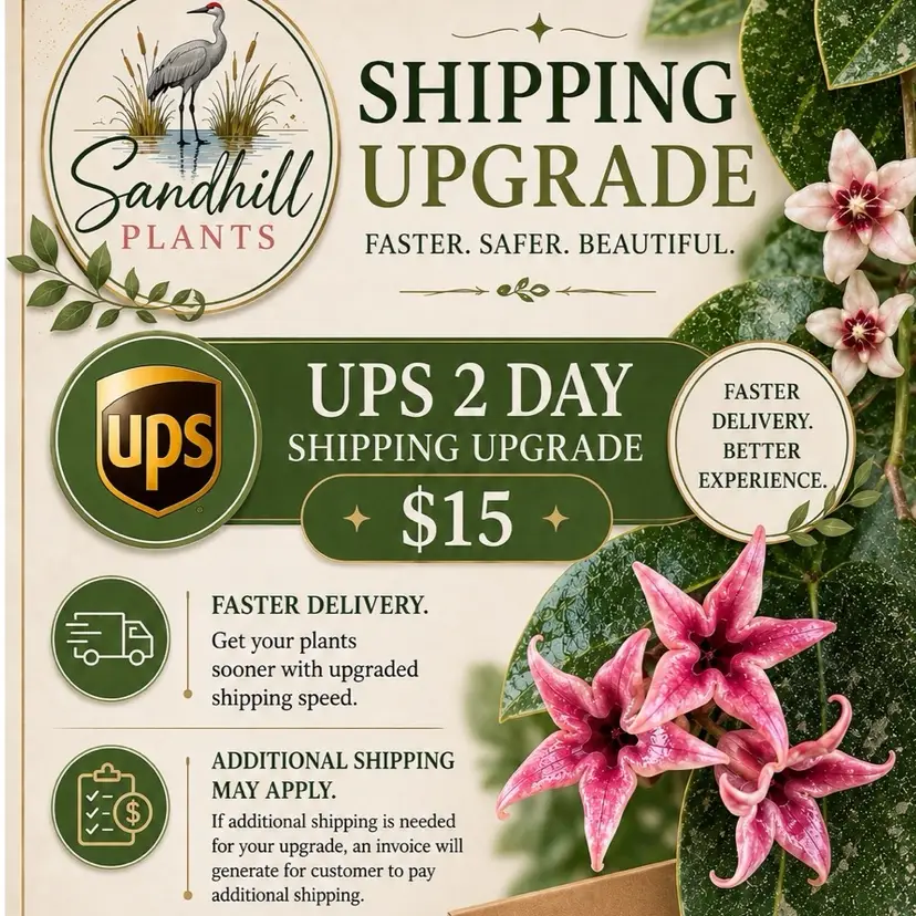 2 Day UPS Shipping upgrade