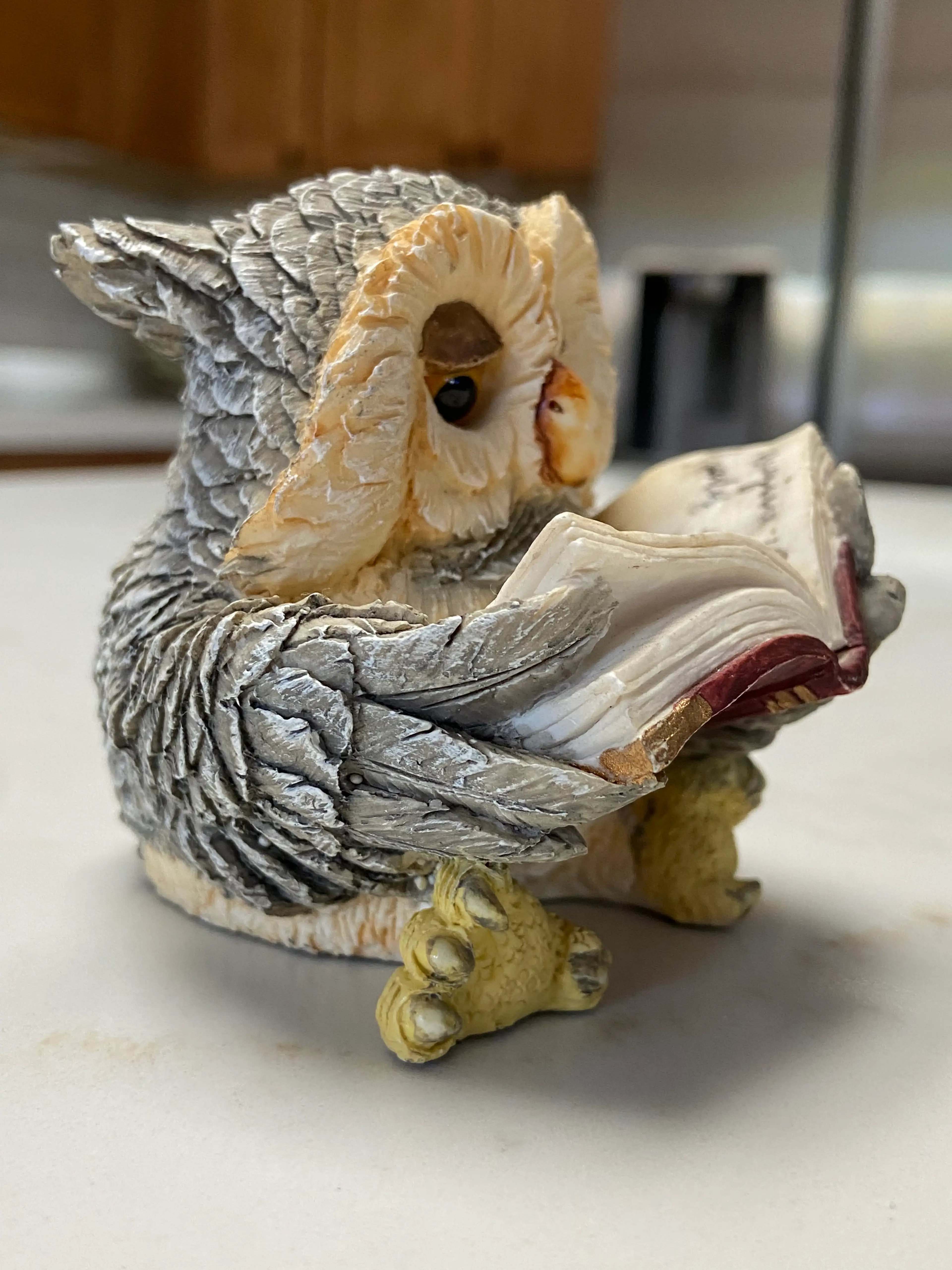 Image 4 of 7