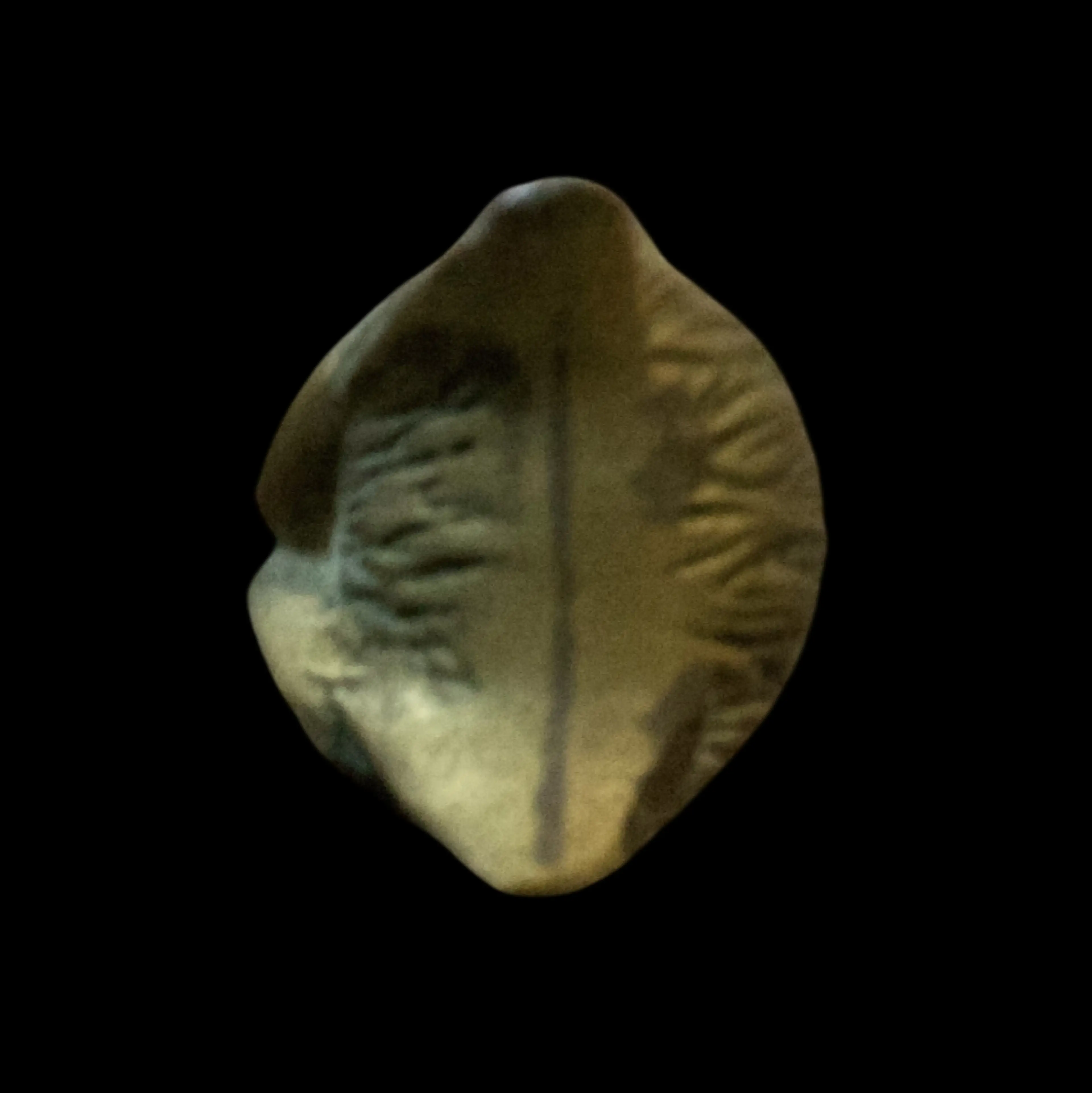 Image 3 of 4
