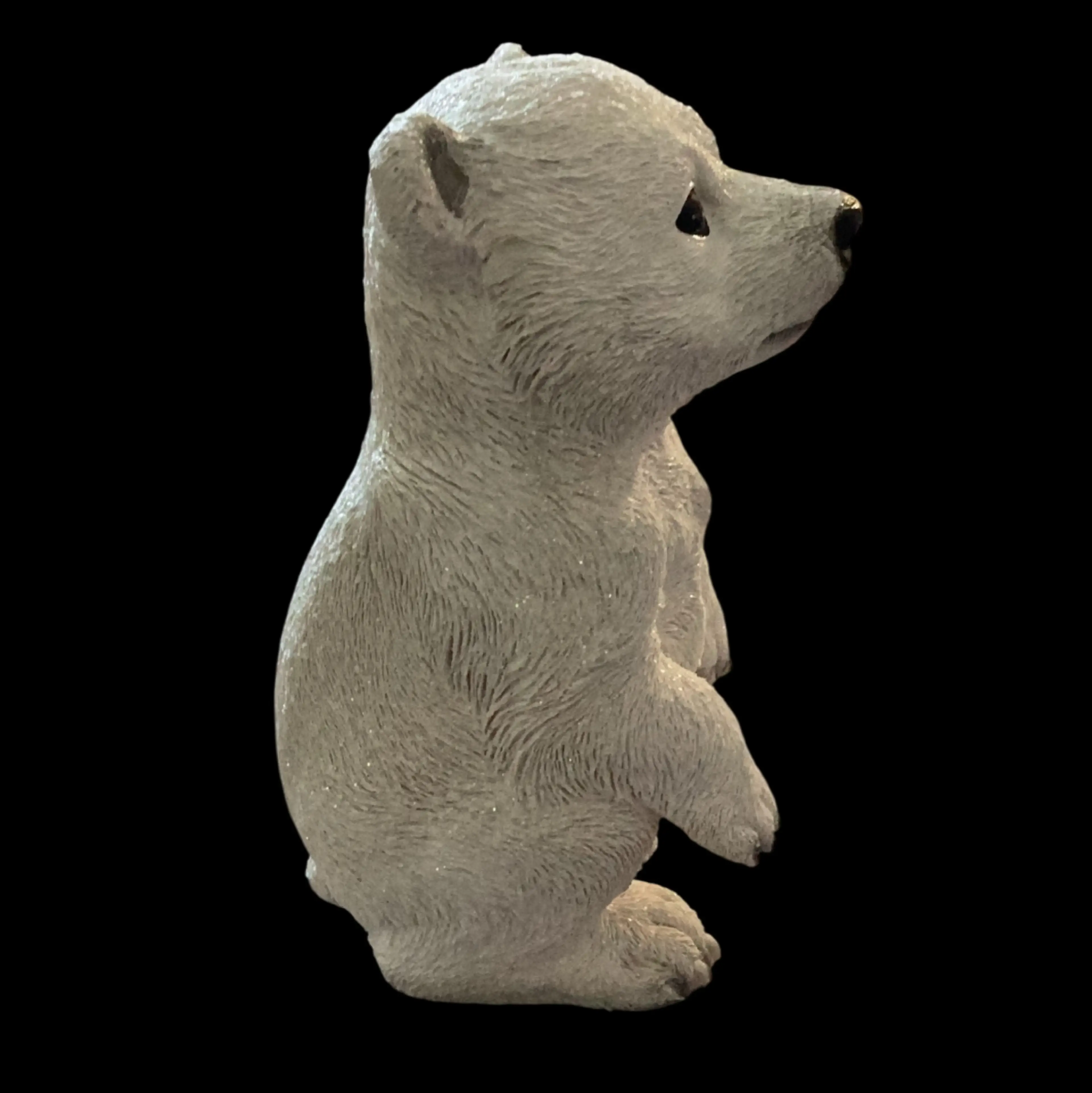 Image 4 of 5