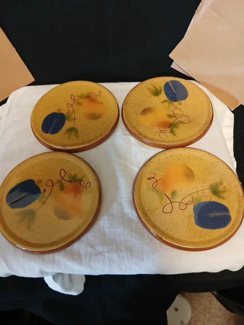 Fruit Coasters Set