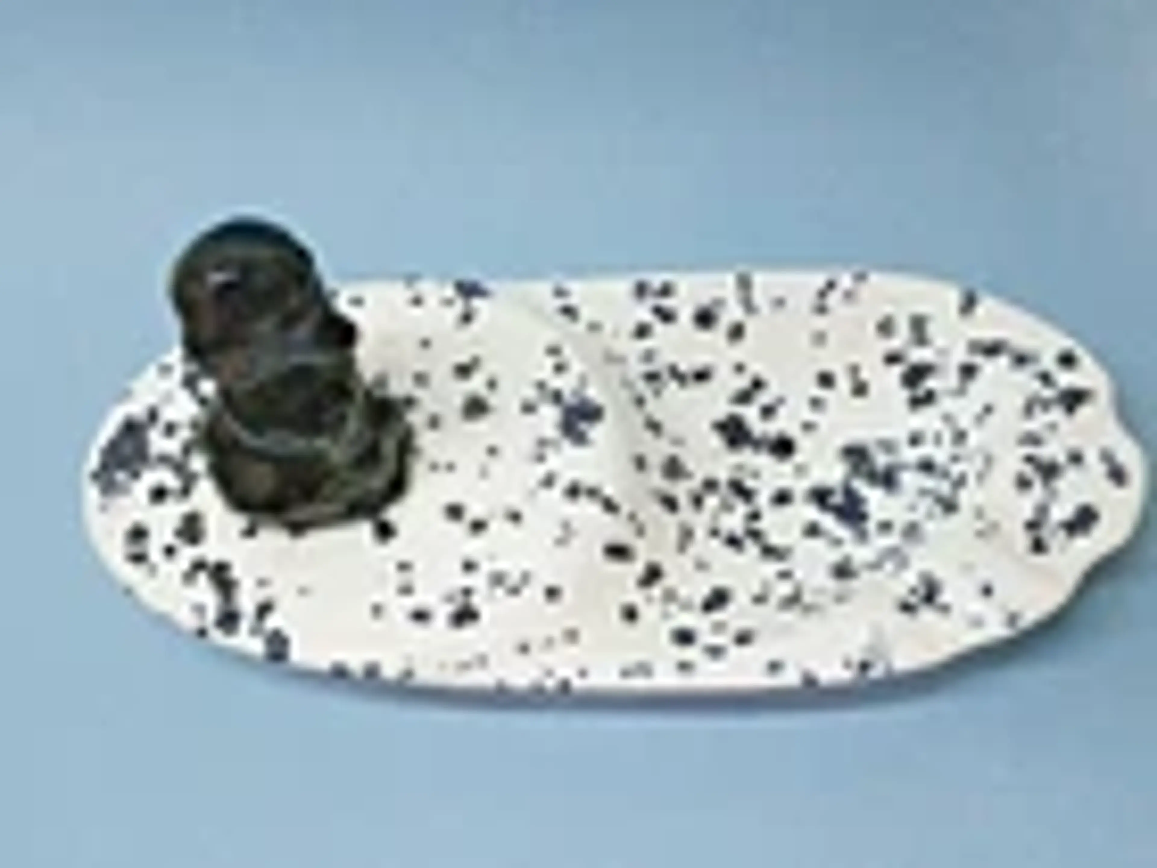 Image 5 of 15