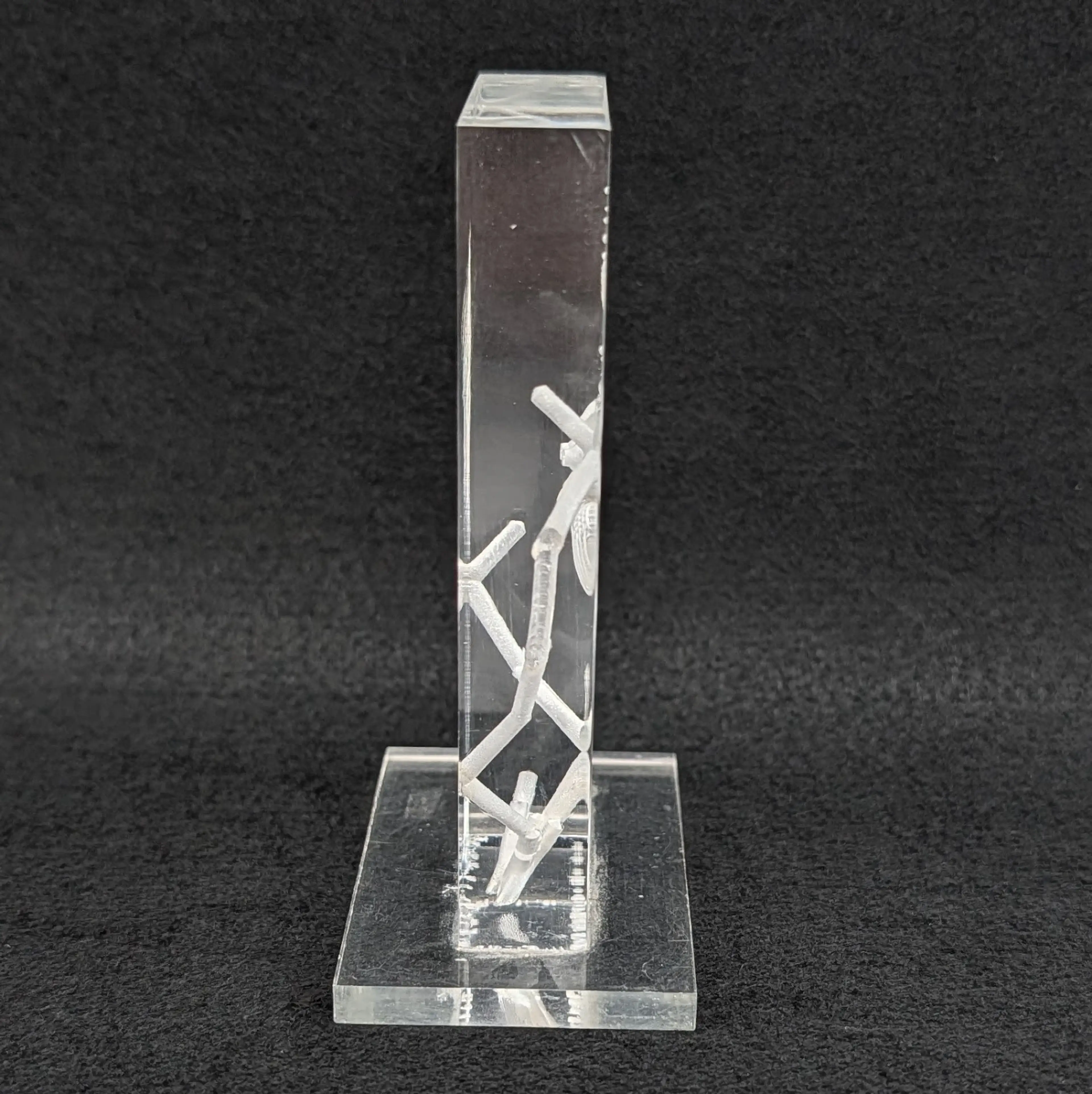 Image 2 of 9