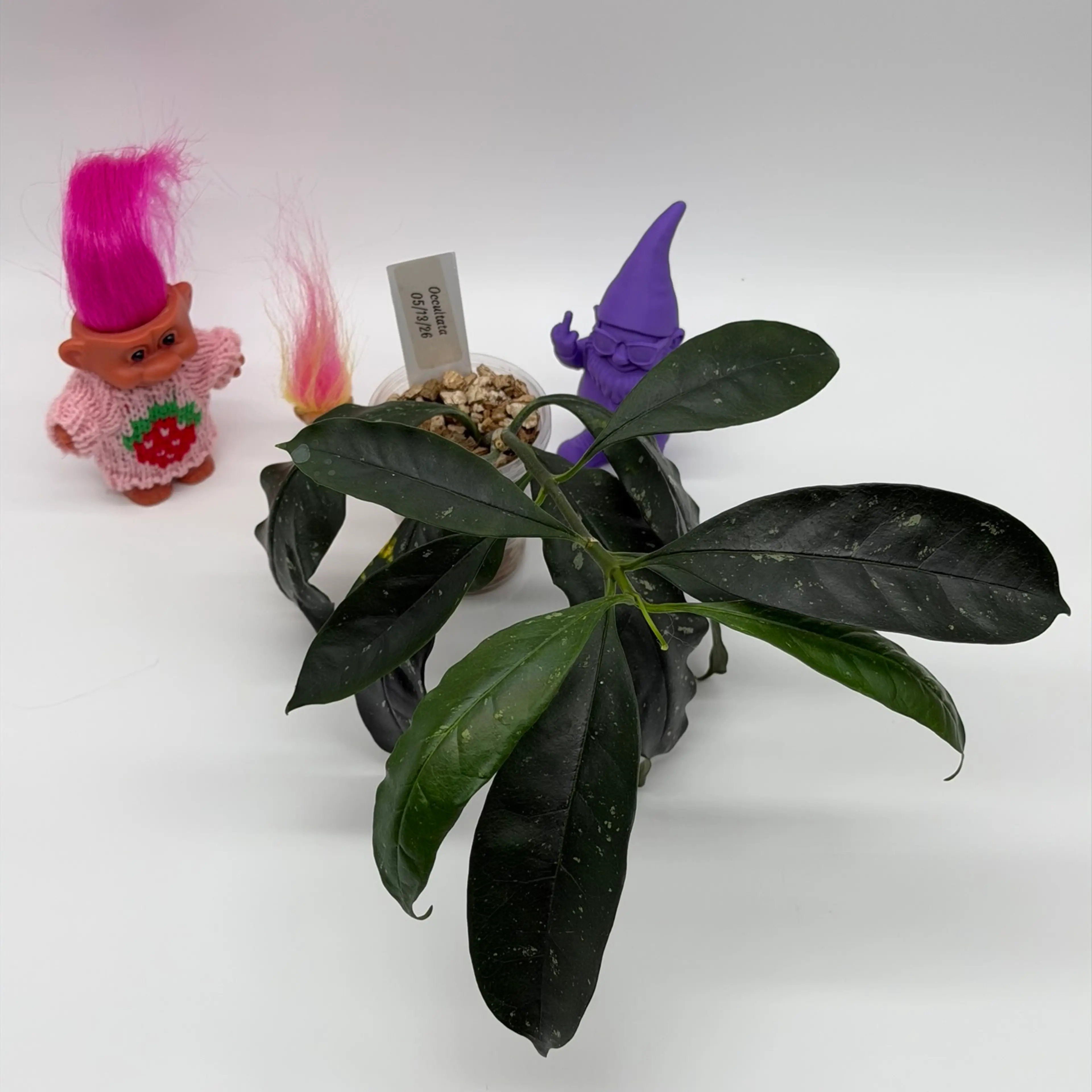 Image 2 of 3