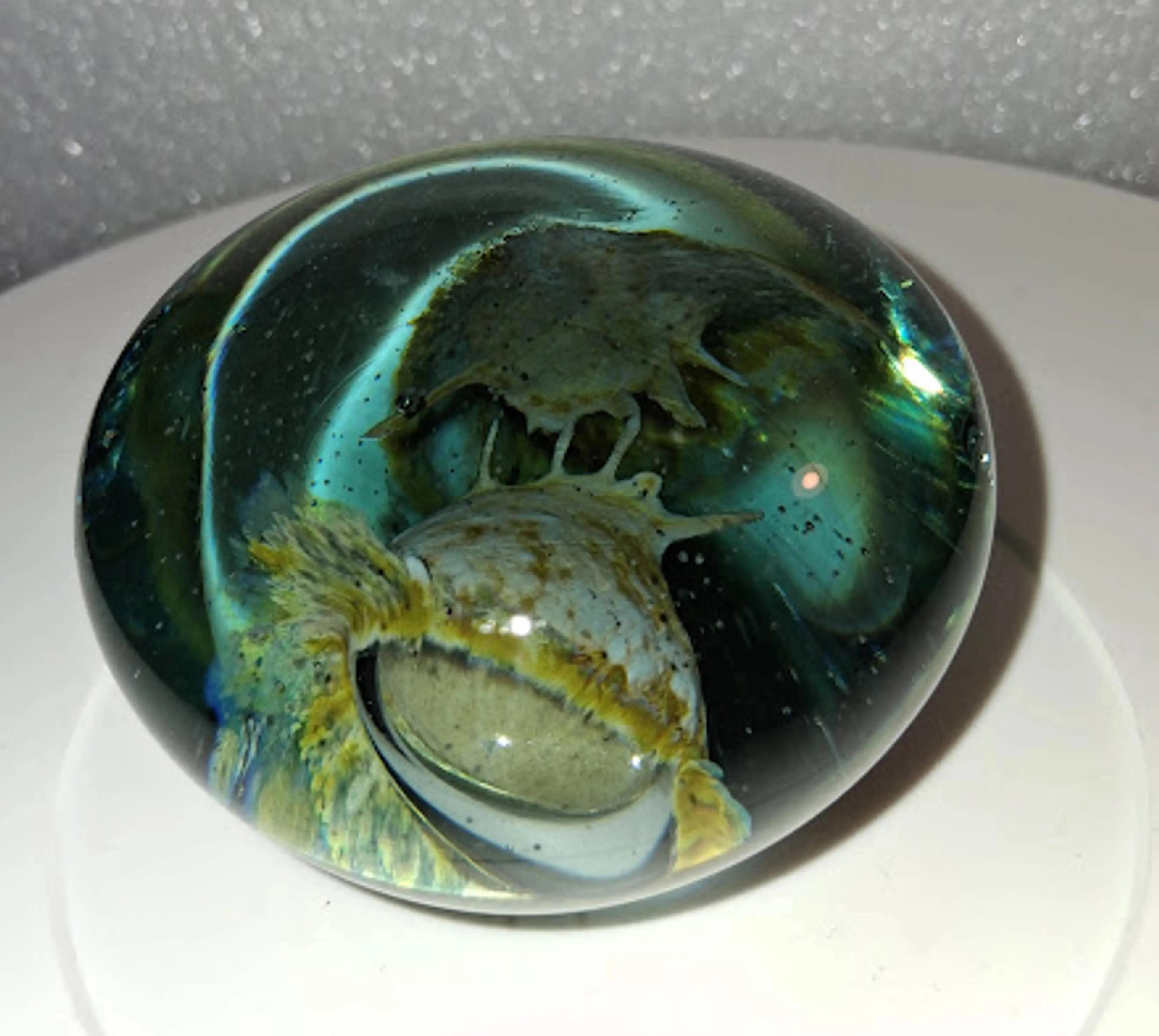 Image 3 of 8