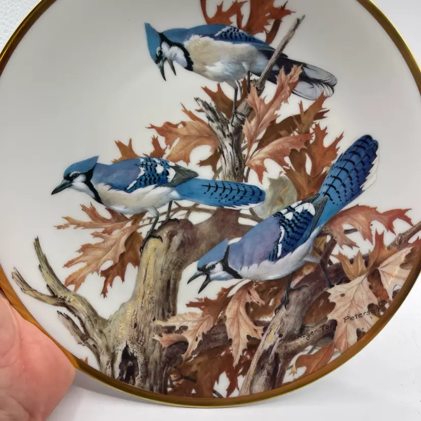 Limoges Porcelain Plate Boyer 1981 Blue Jay Bird Tory Peterson Gold
