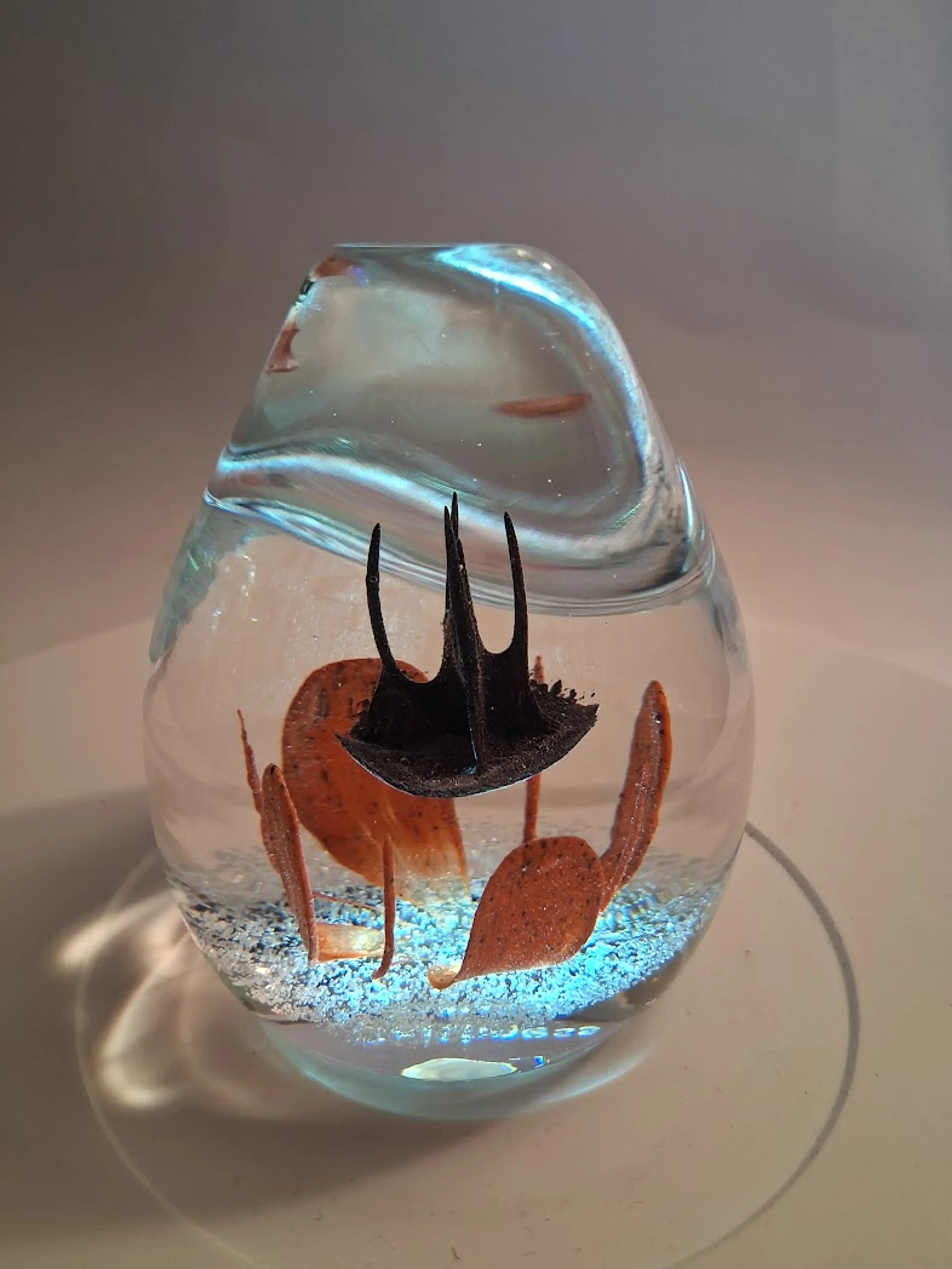 Image 4 of 8