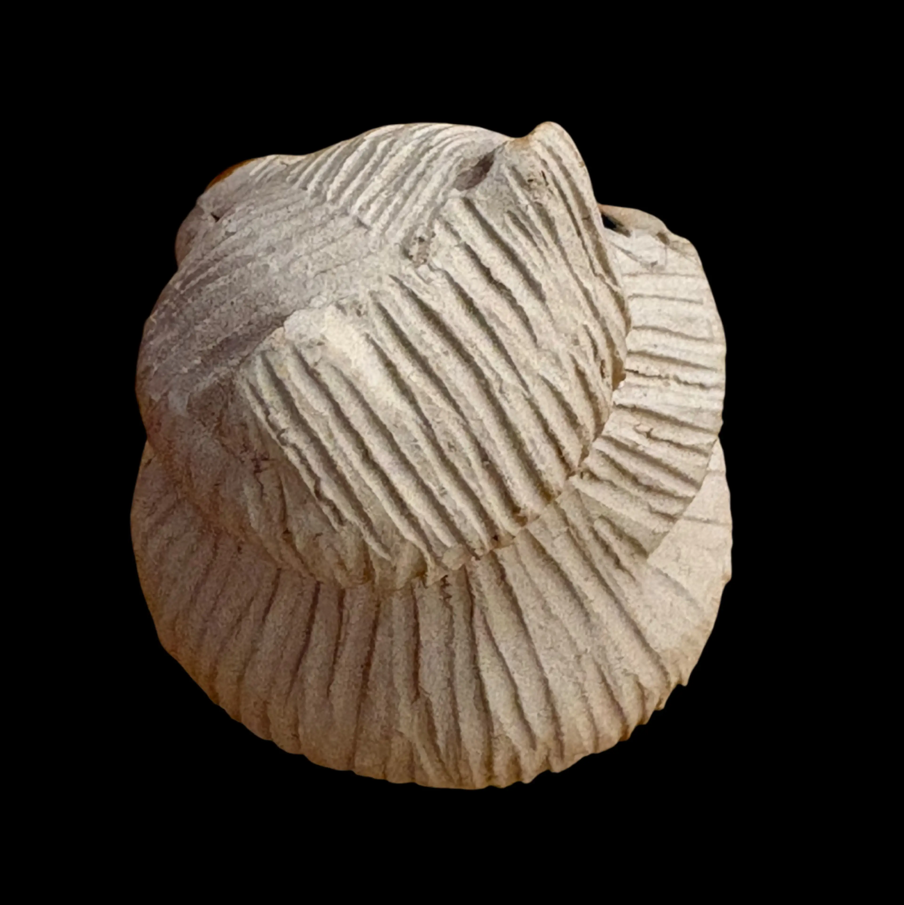Image 4 of 5