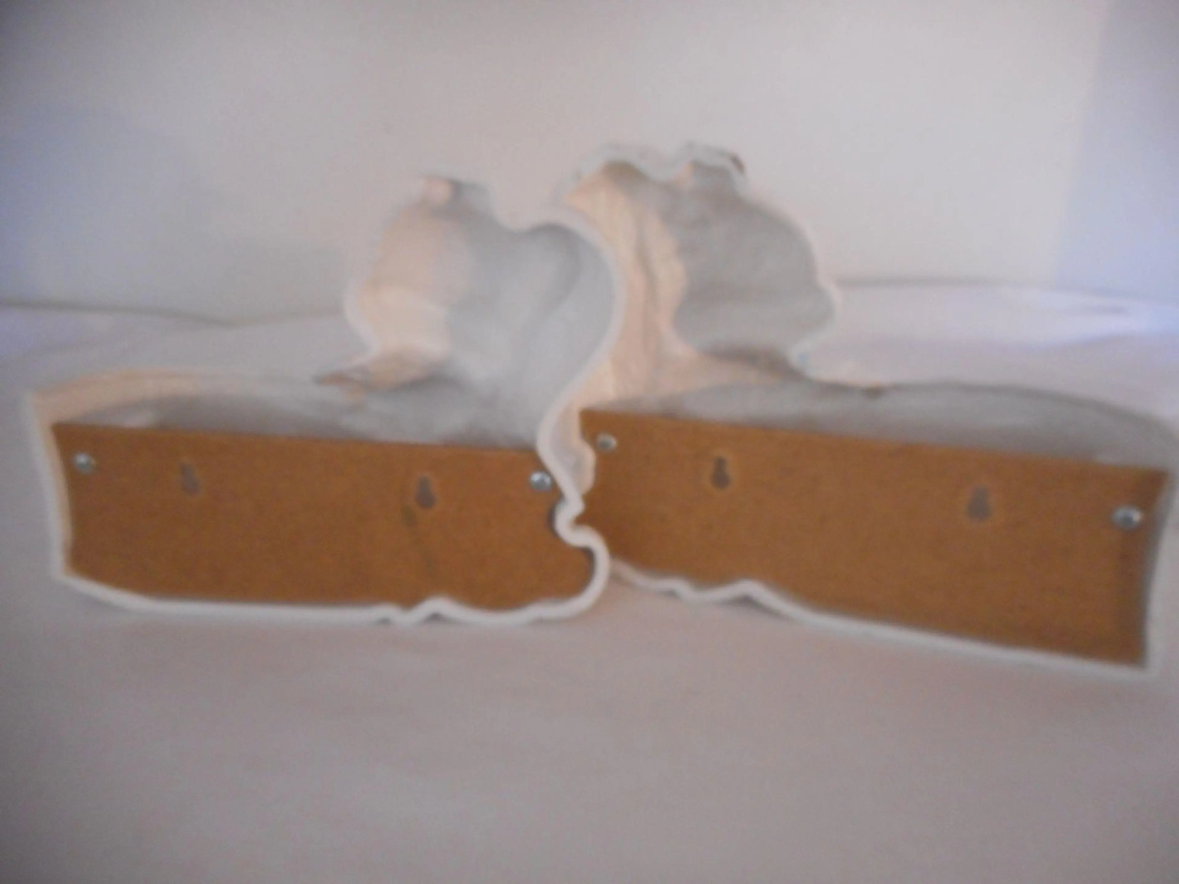 Image 5 of 8