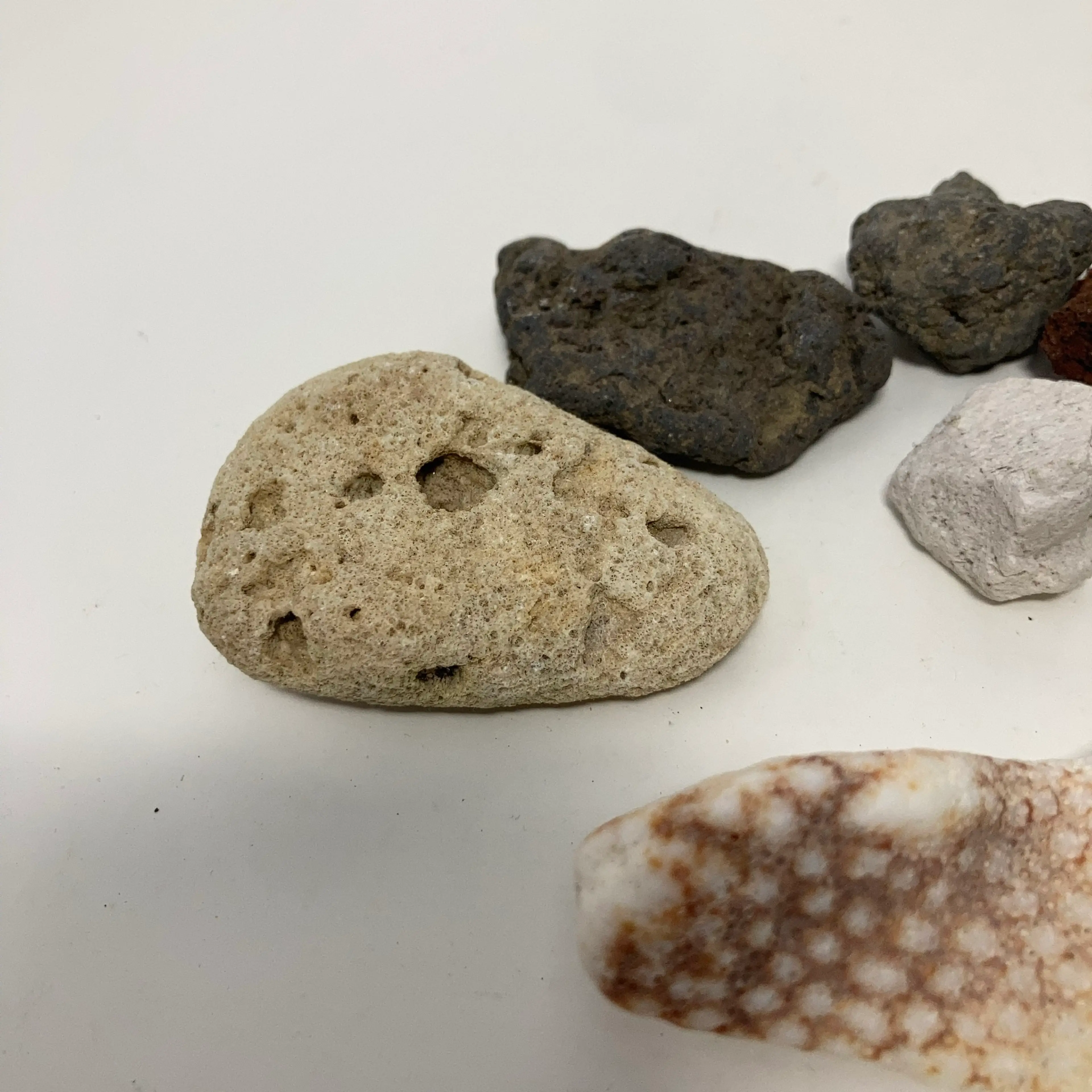 Image 3 of 12