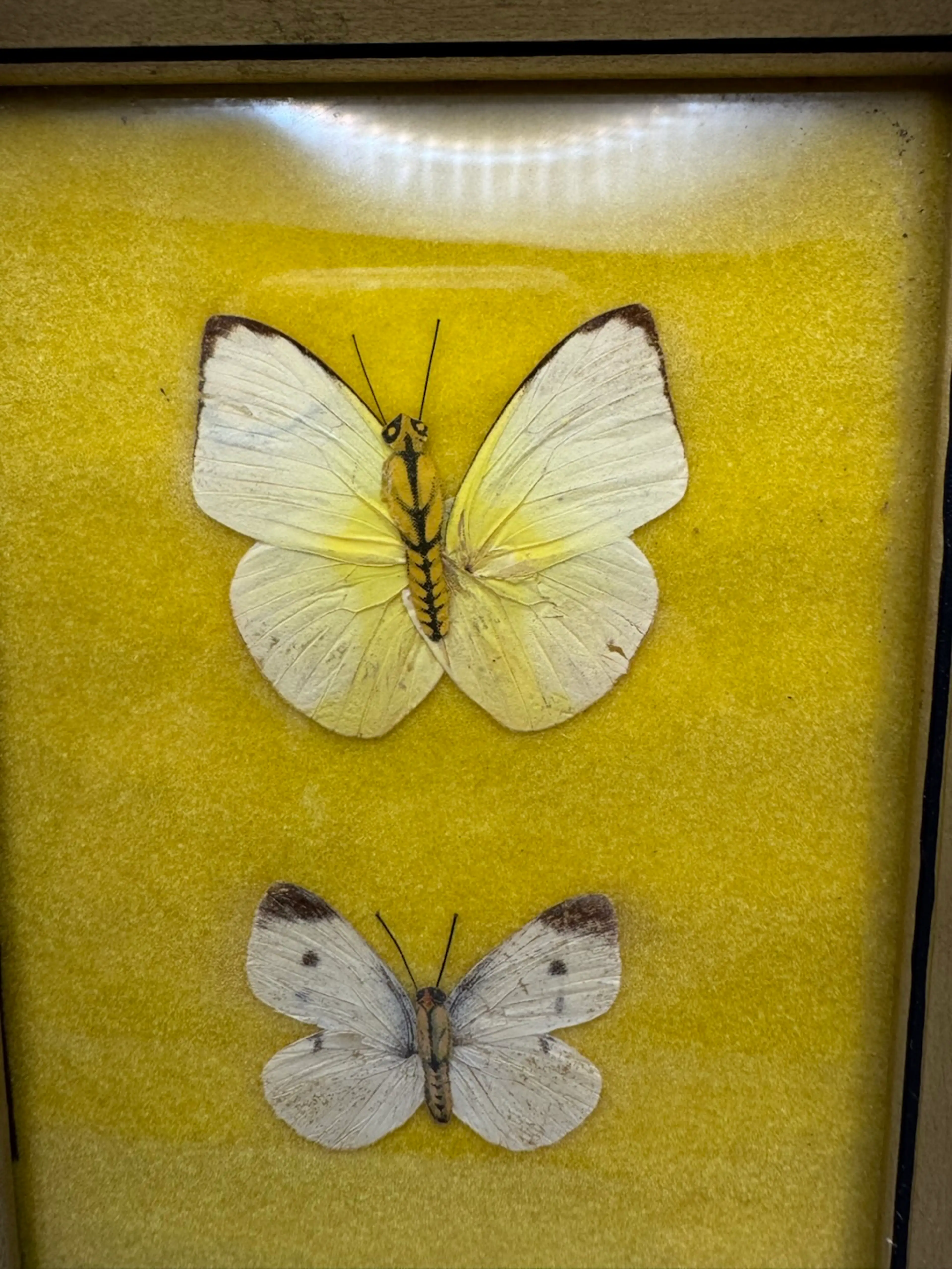 Image 5 of 6