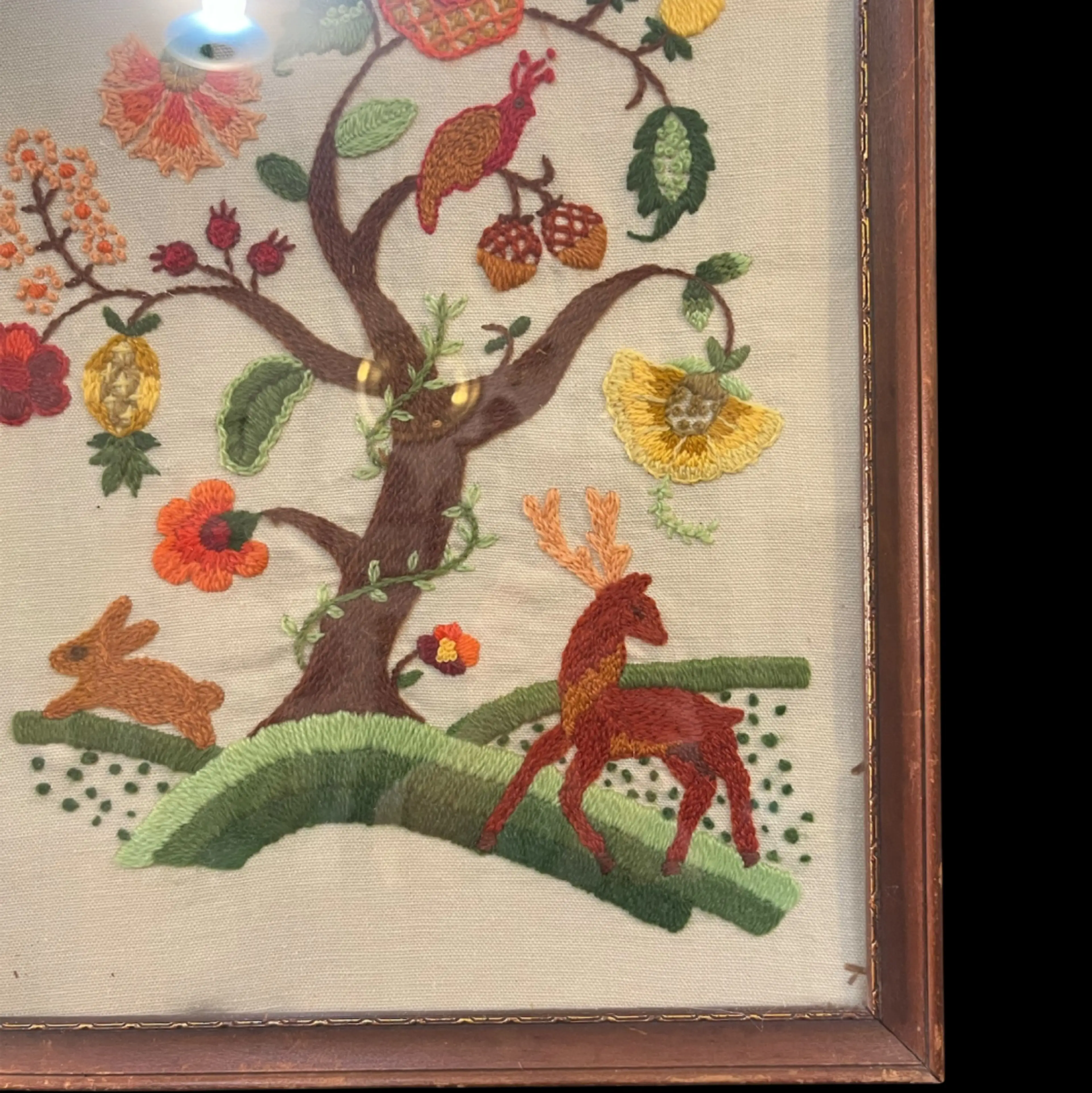 Image 2 of 9