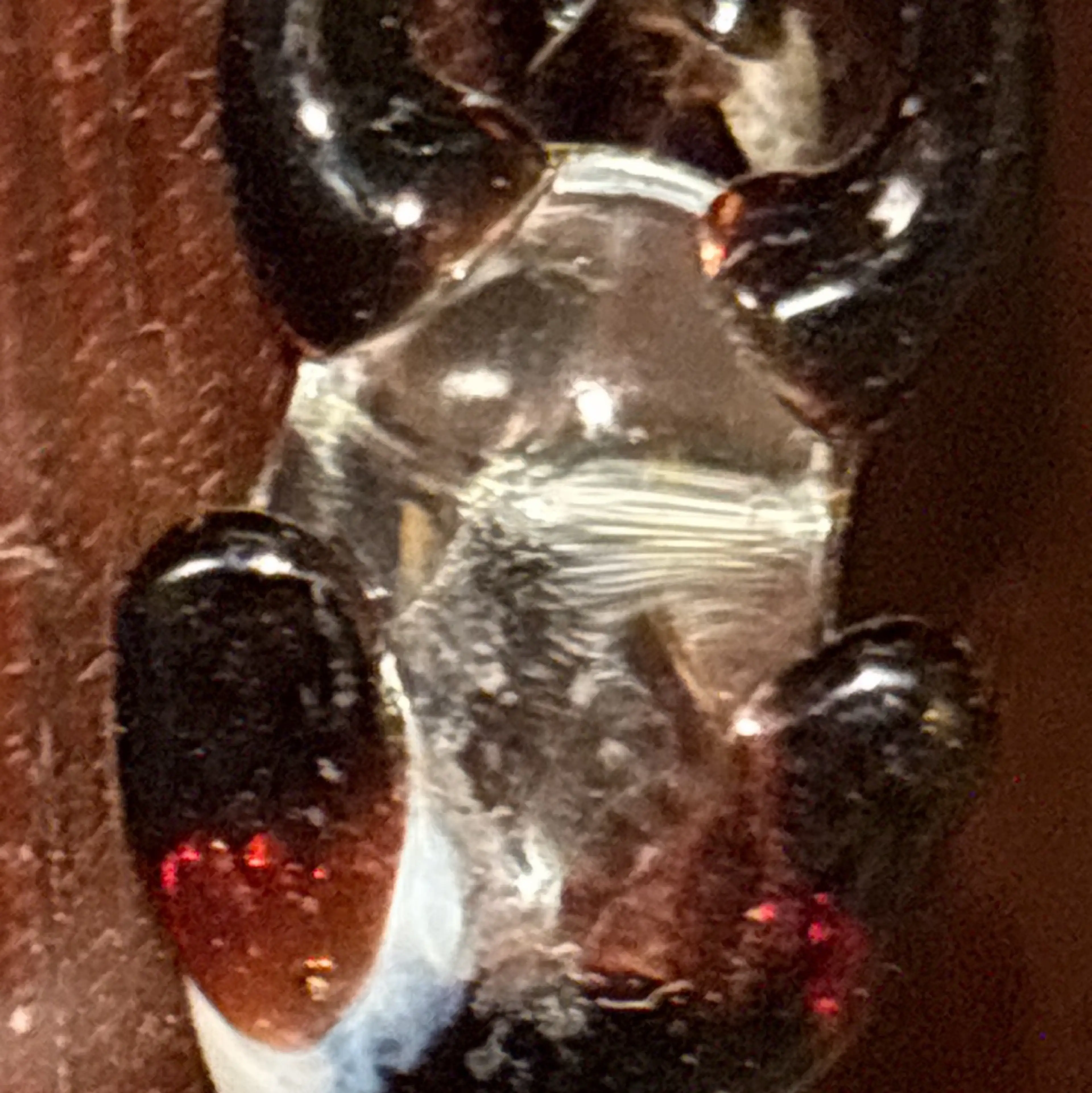 Image 4 of 4