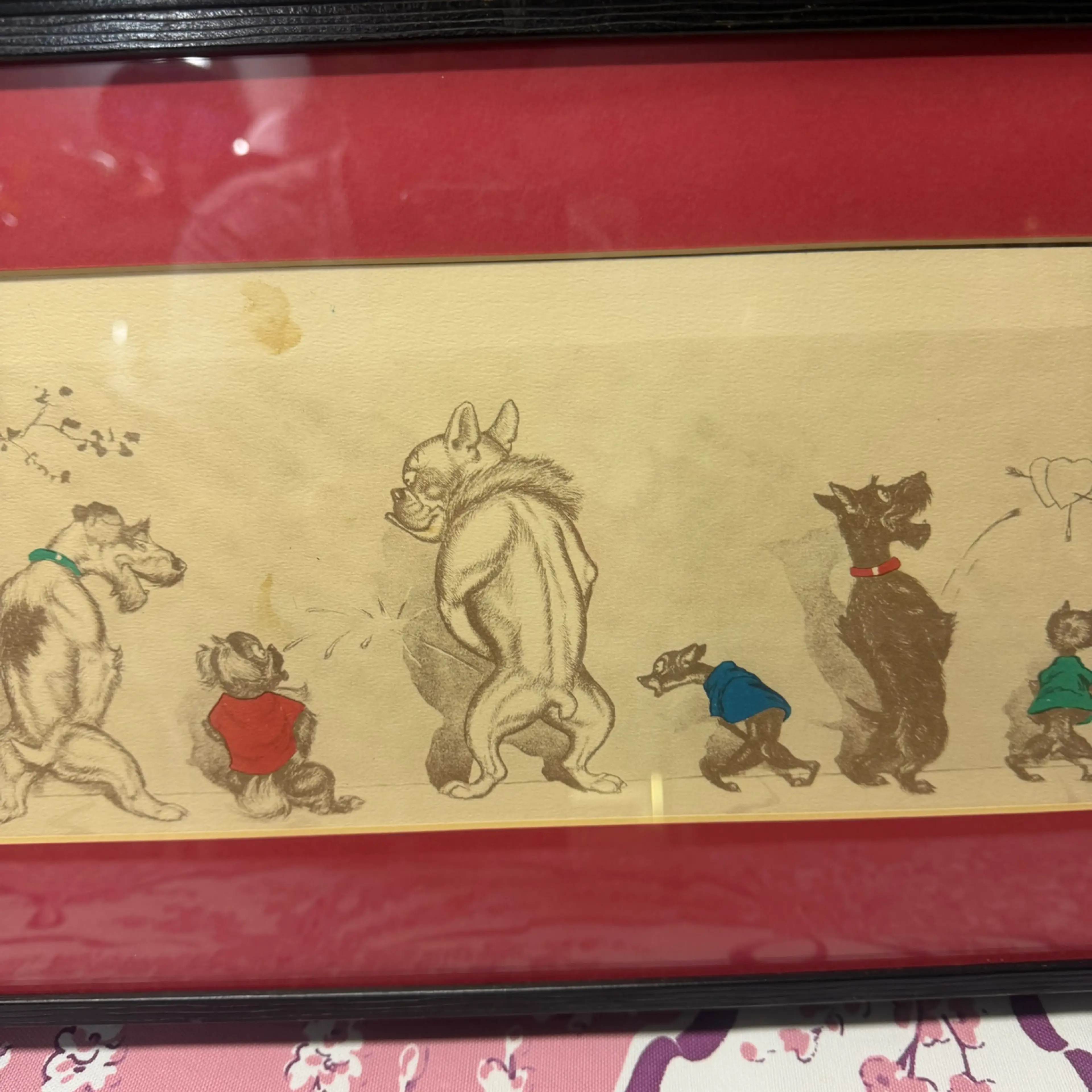 Image 3 of 10