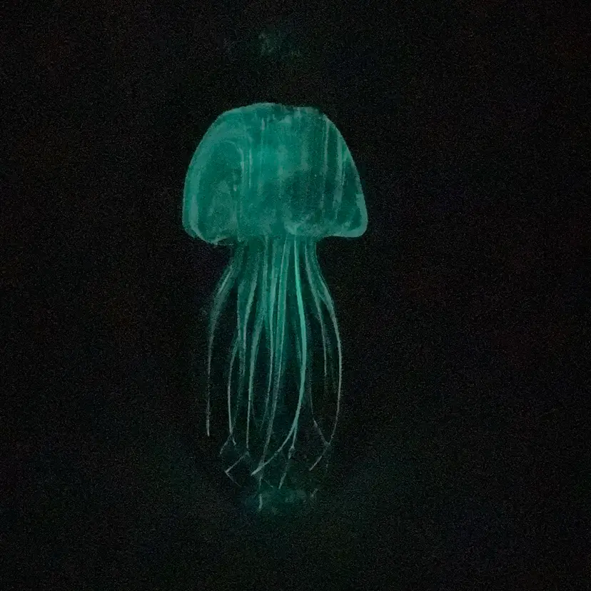 Massive 4.4lb Red Jellyfish Glow In The Dark Paperweight