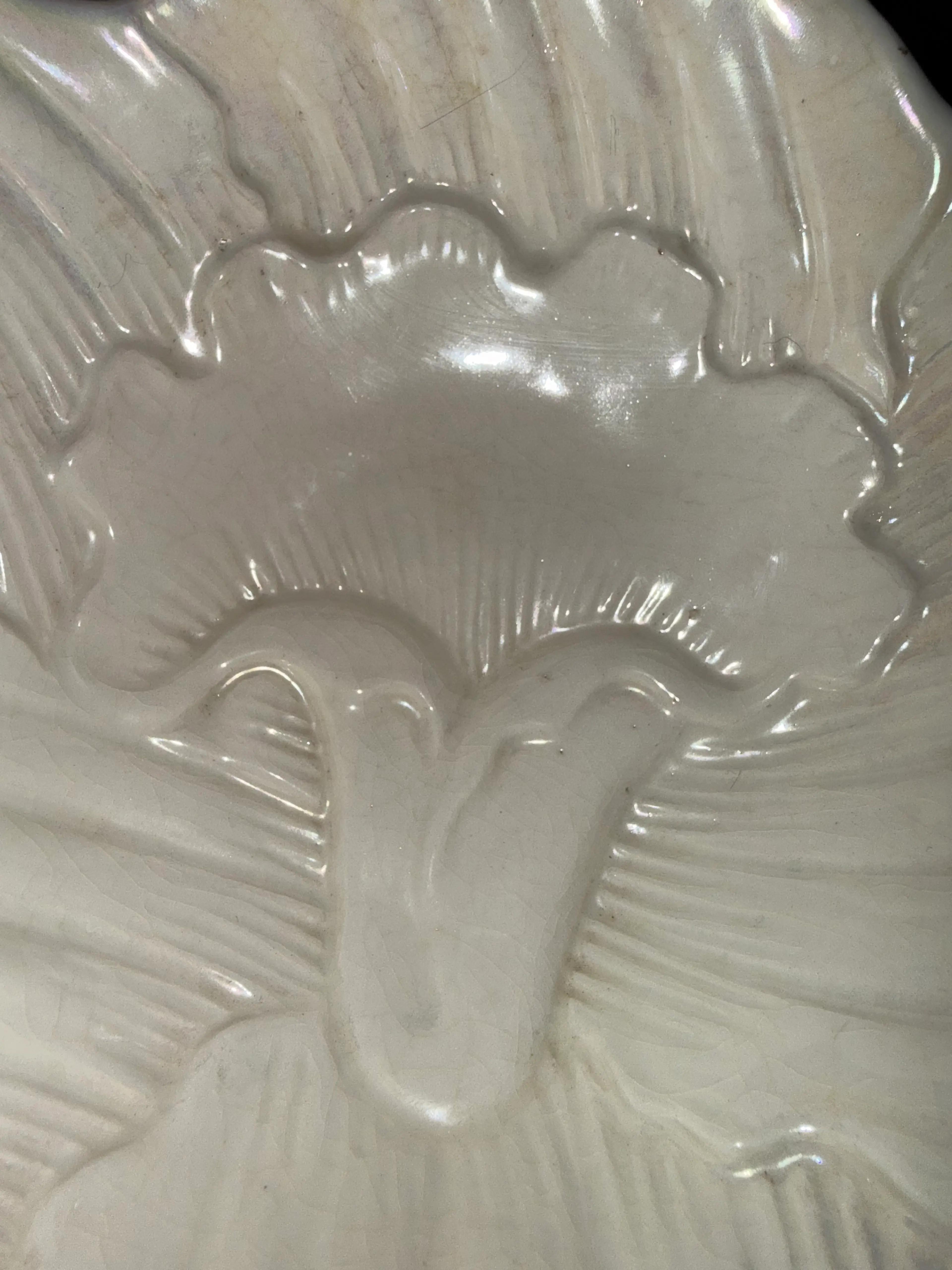 Image 4 of 12