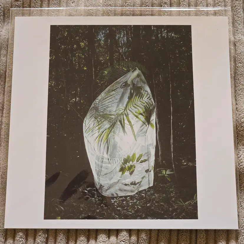 CRISTINA De MIDDEL Magnum Square Print 6" x 6" Signed MATA ATLÁNTICA Brazil 2020