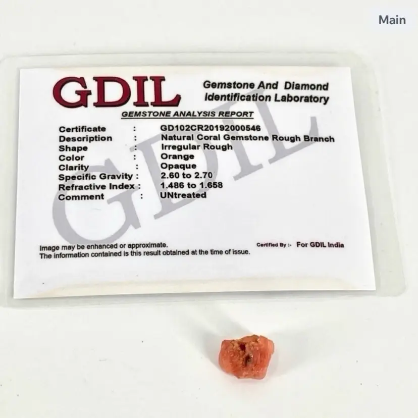 Certified Natural Coral Gemstone Rough Branch w/ Authentication Card