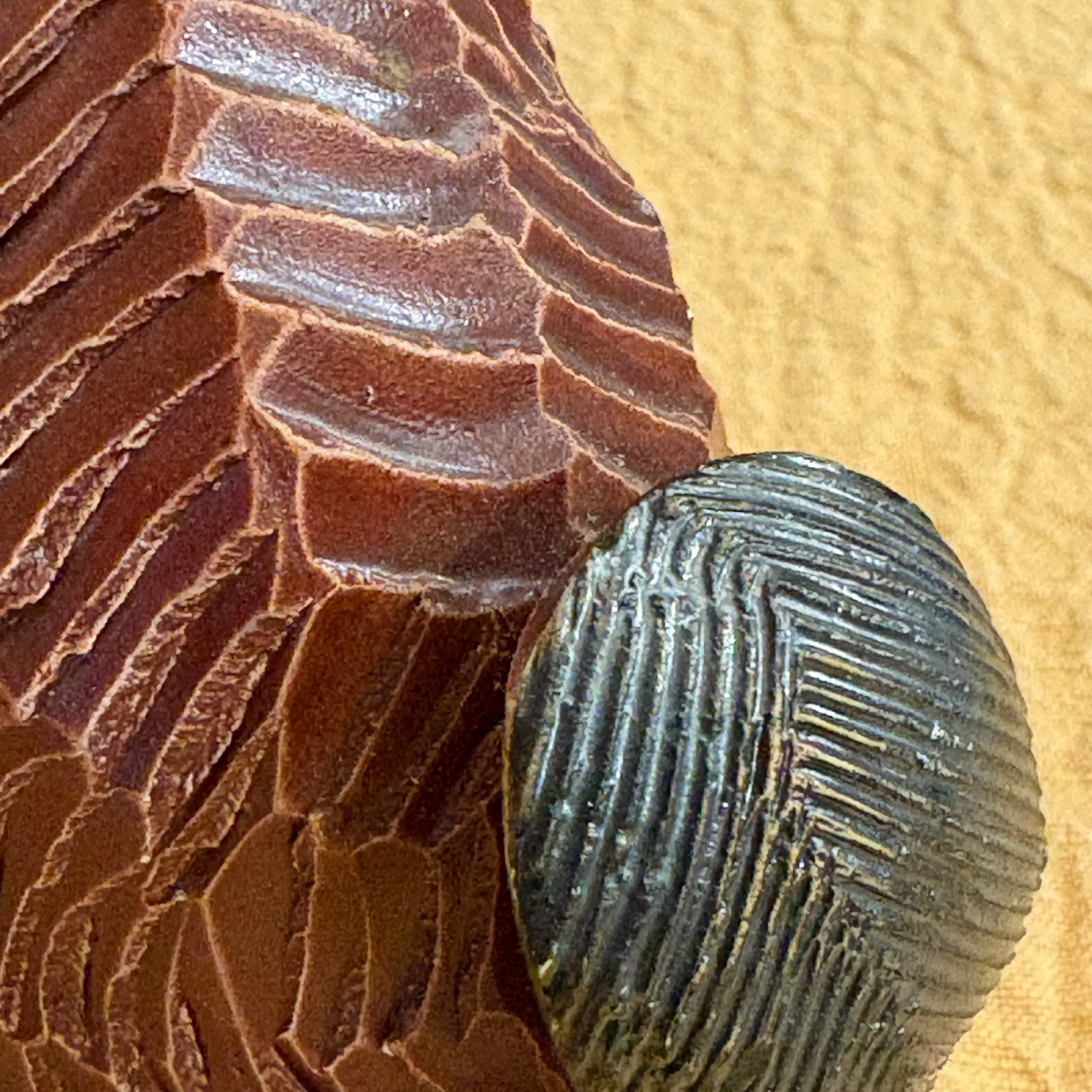 Image 4 of 7