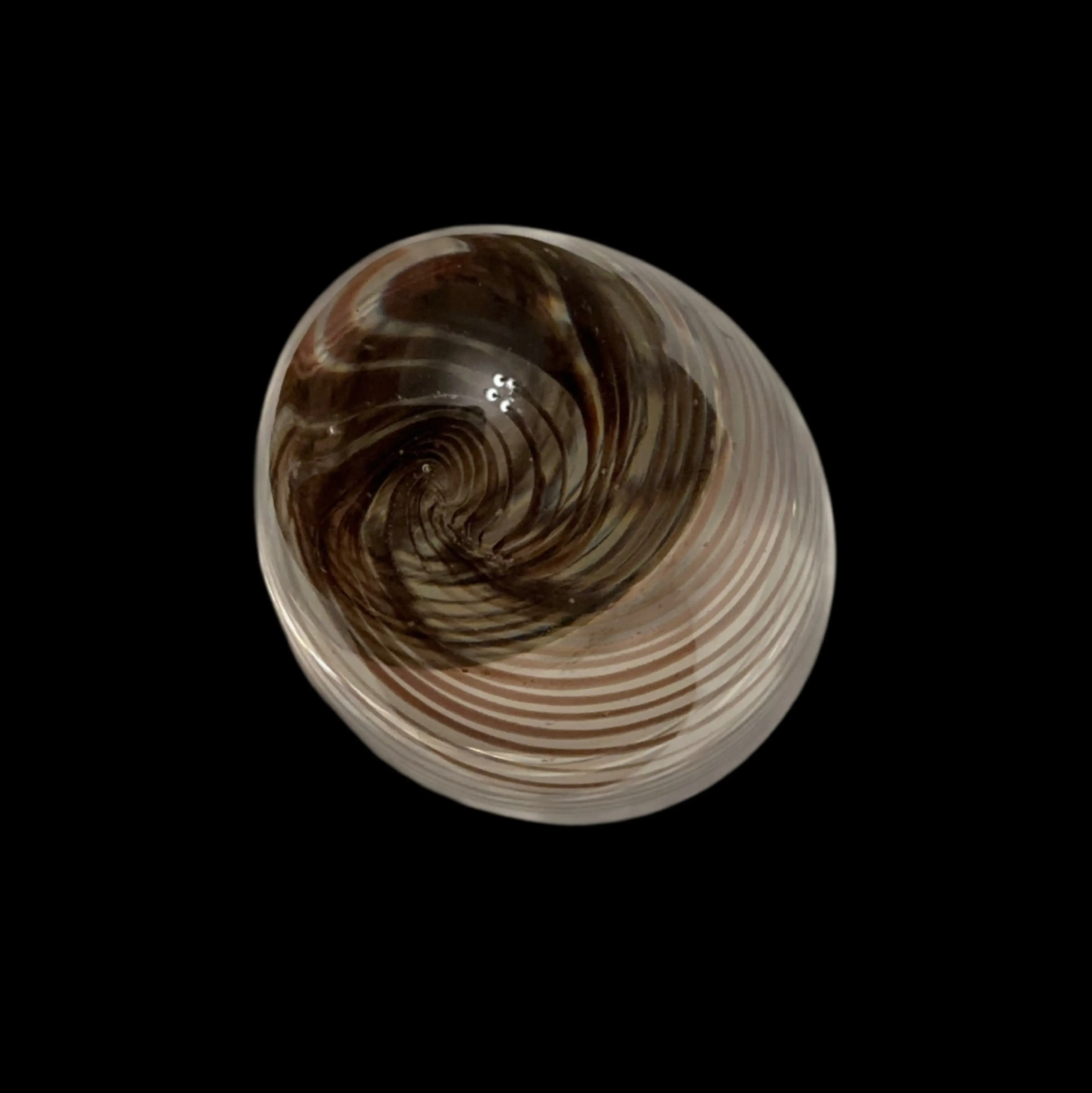 Image 5 of 6
