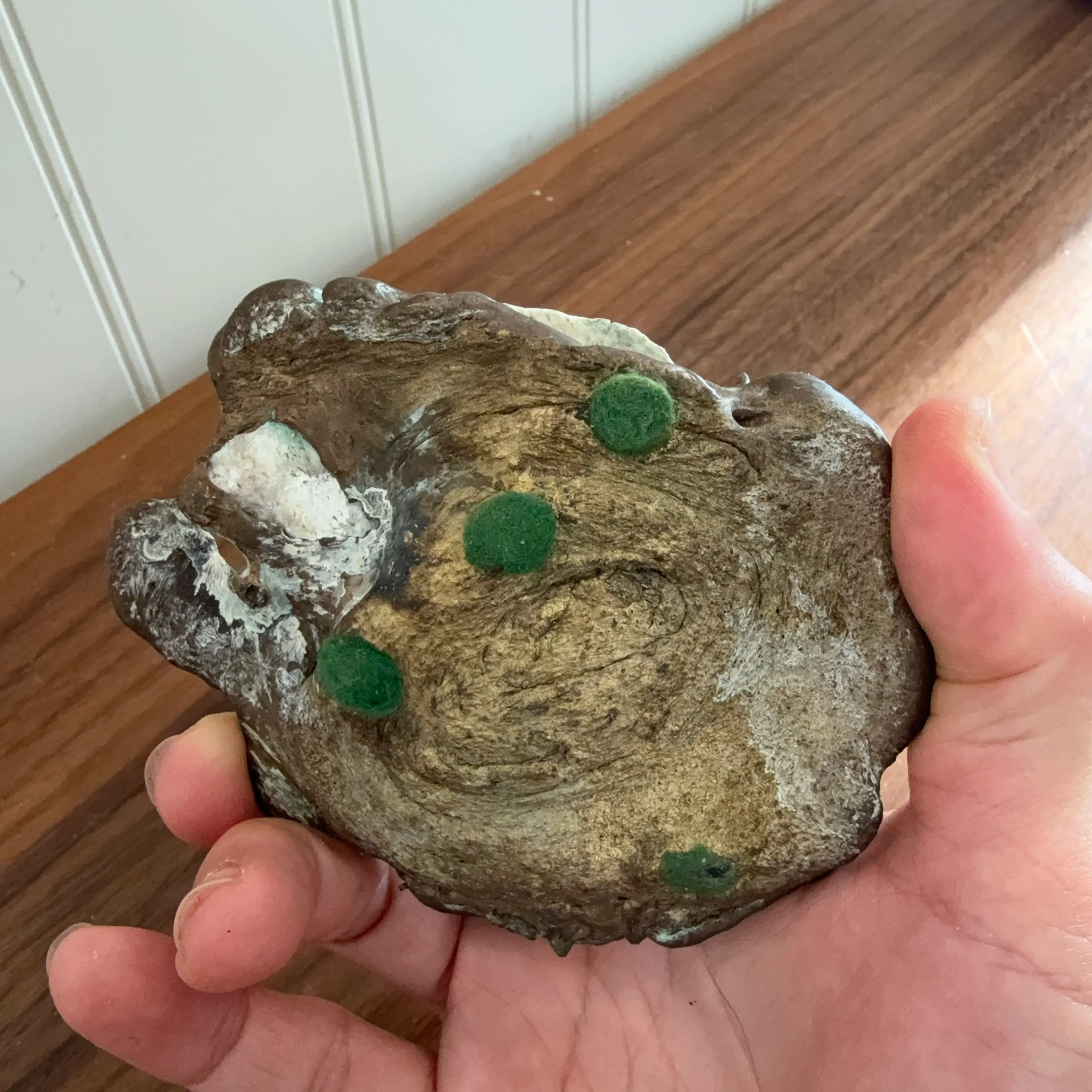 Image 4 of 5