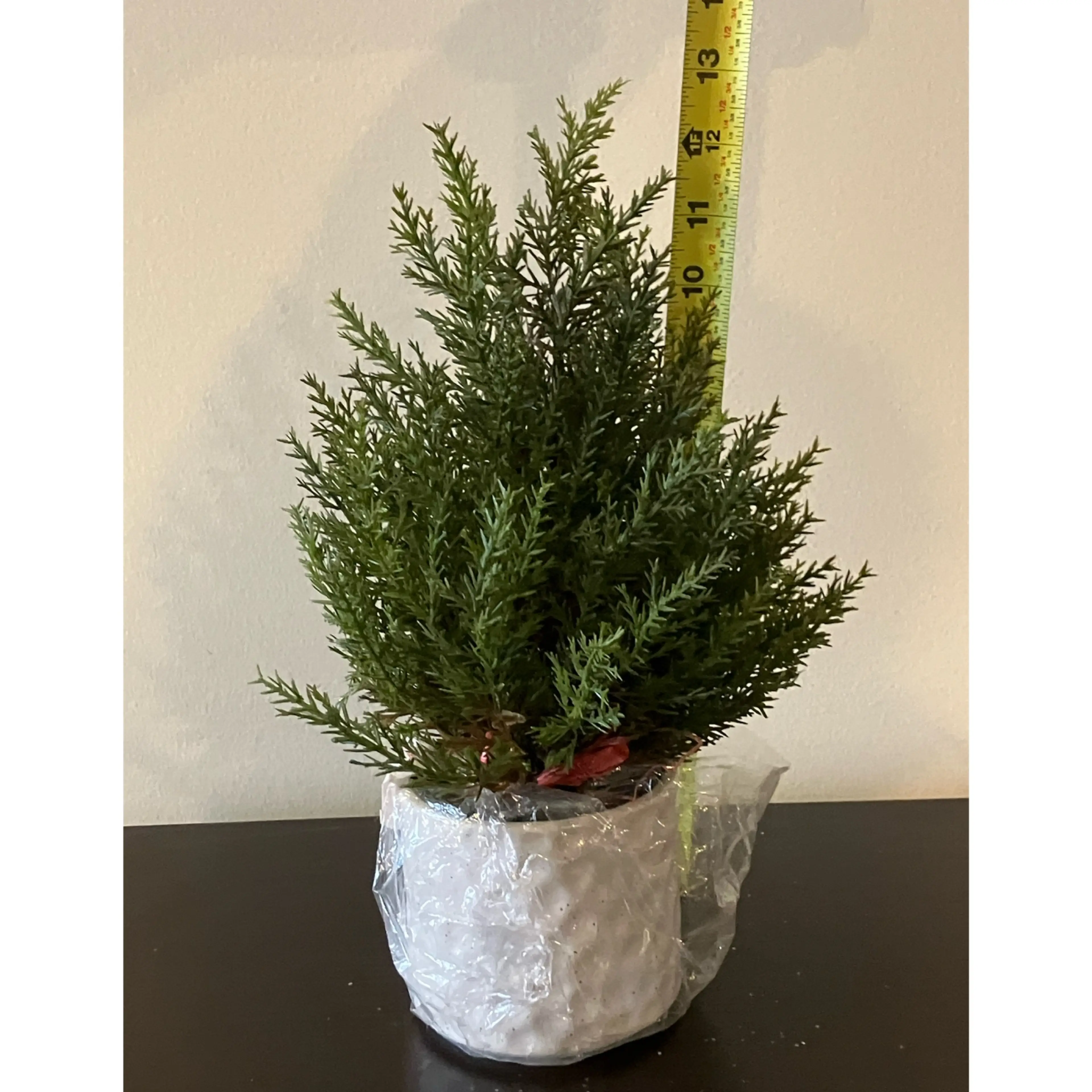 Image 2 of 2