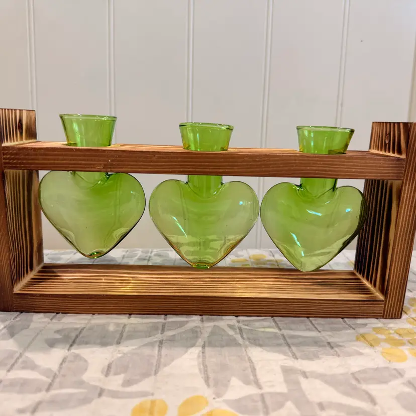 Plant Terrarium / Propagation Stand - NIB