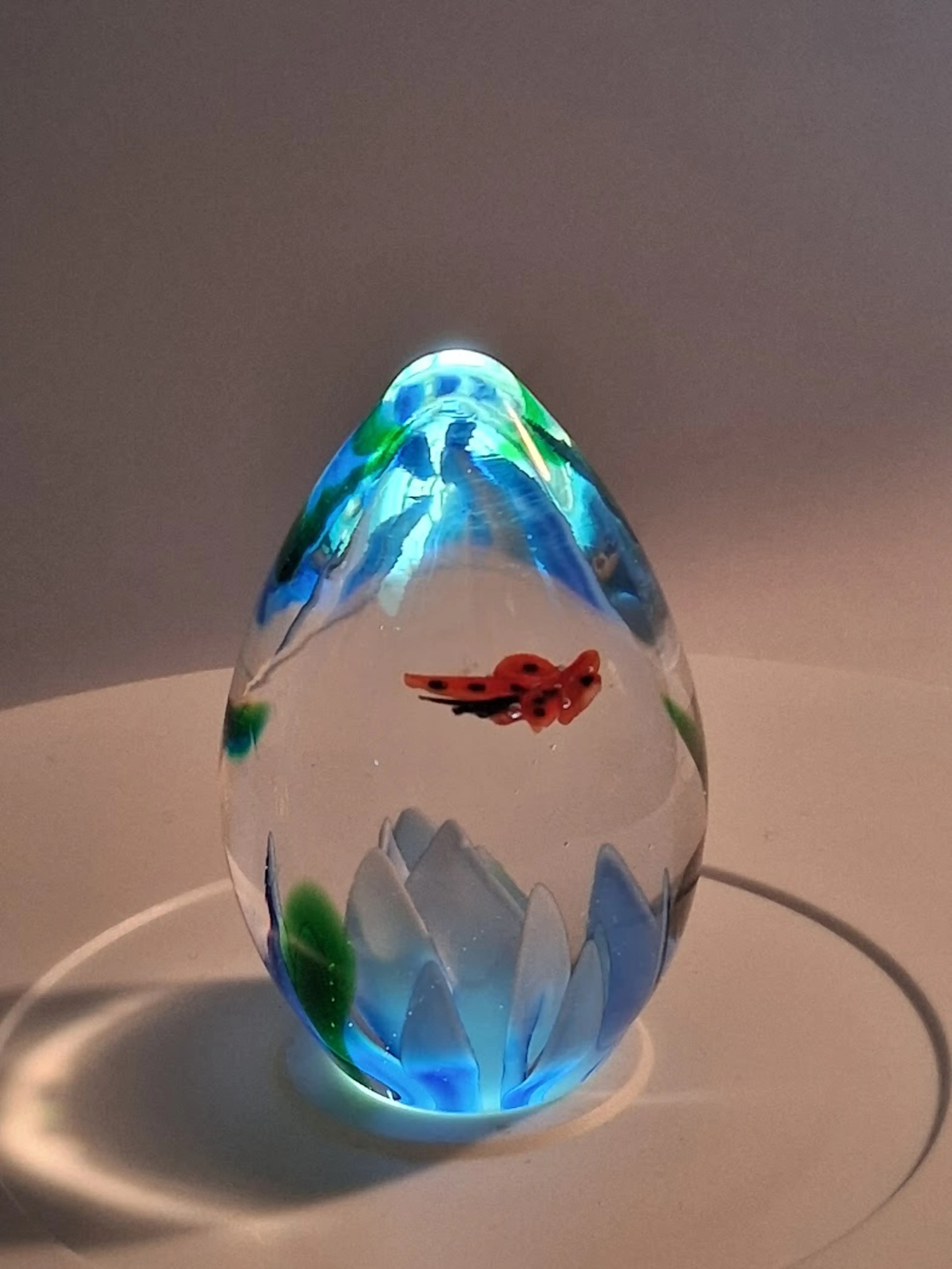 Image 1 of 5