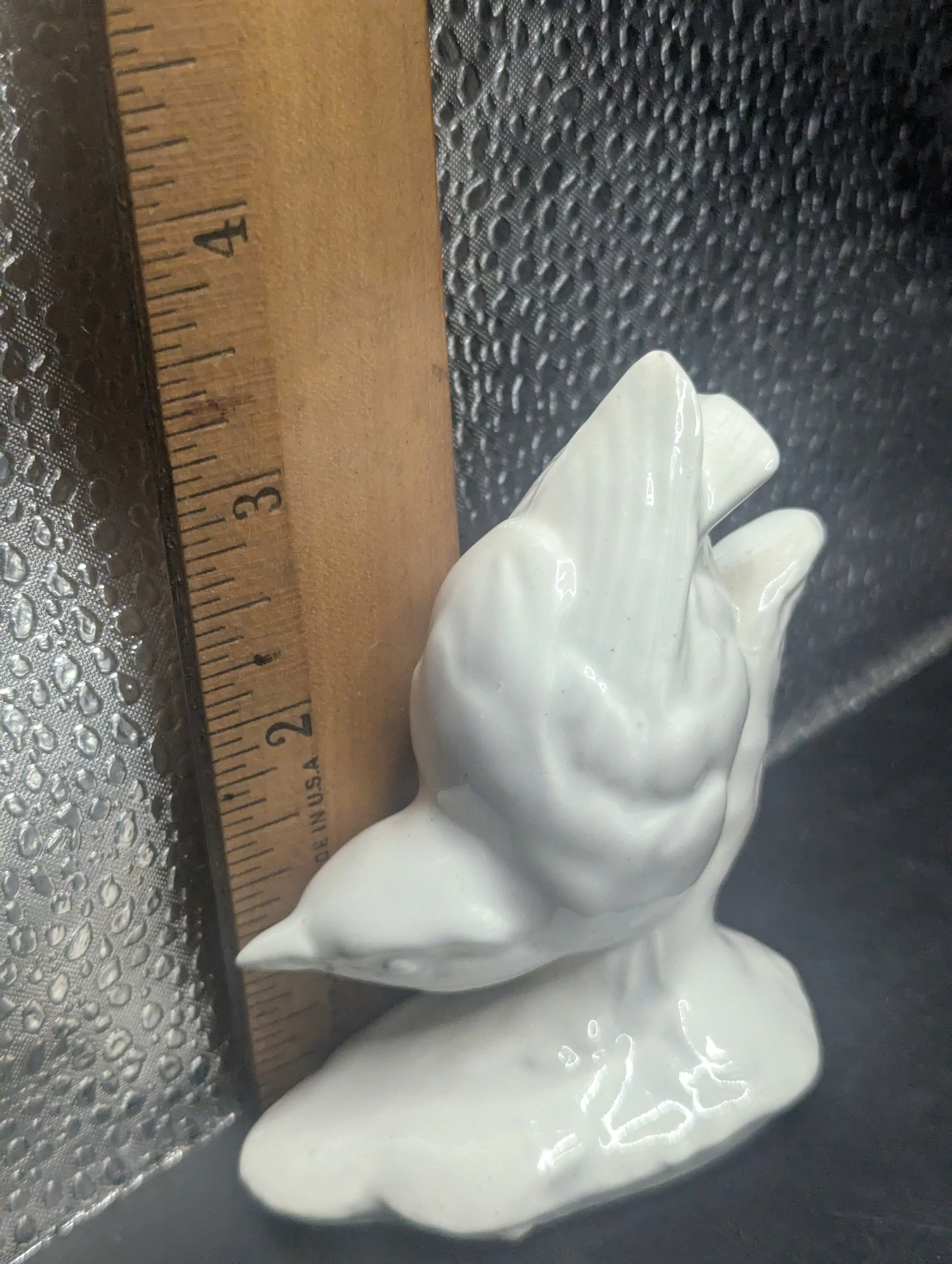 Image 1 of 7