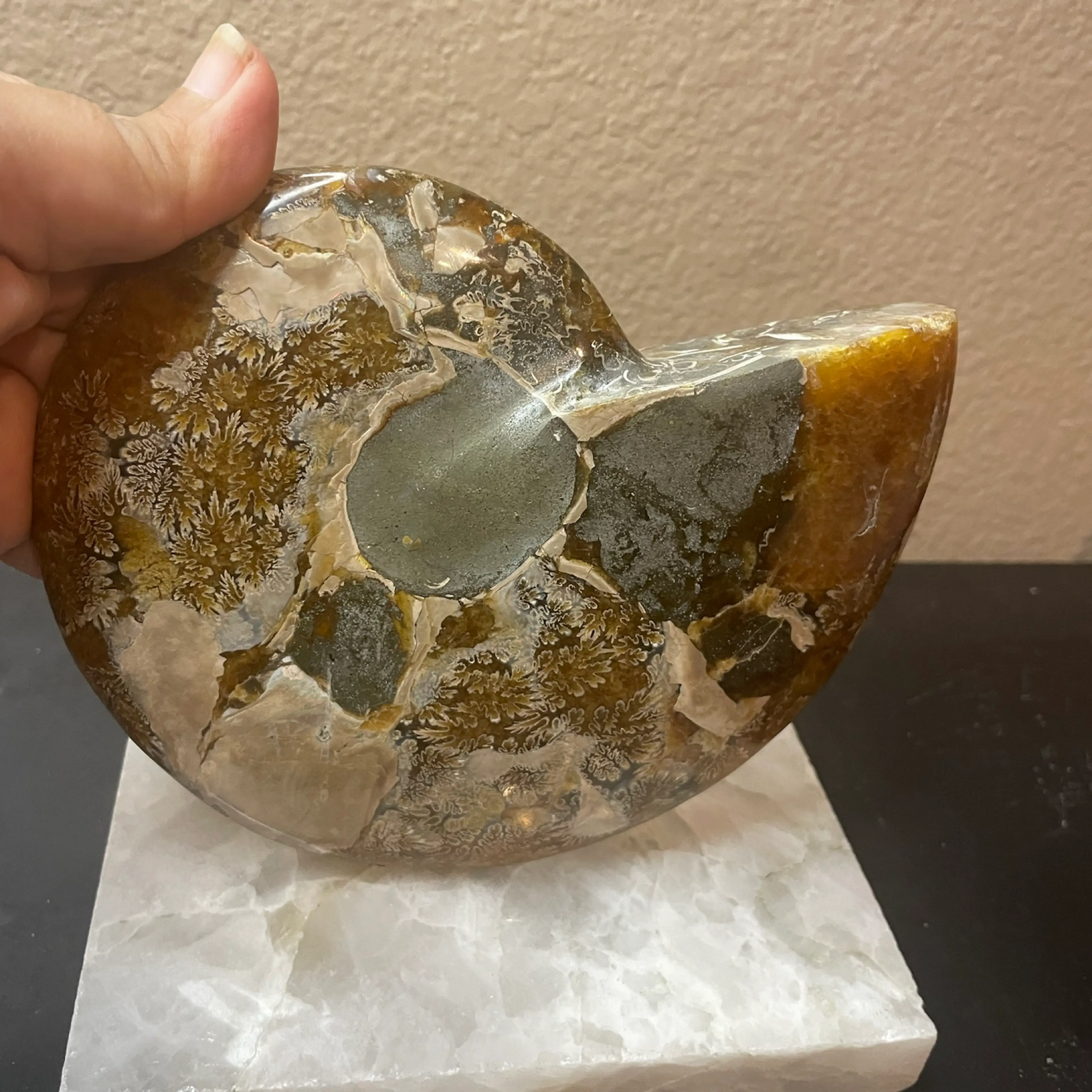 Image 4 of 6