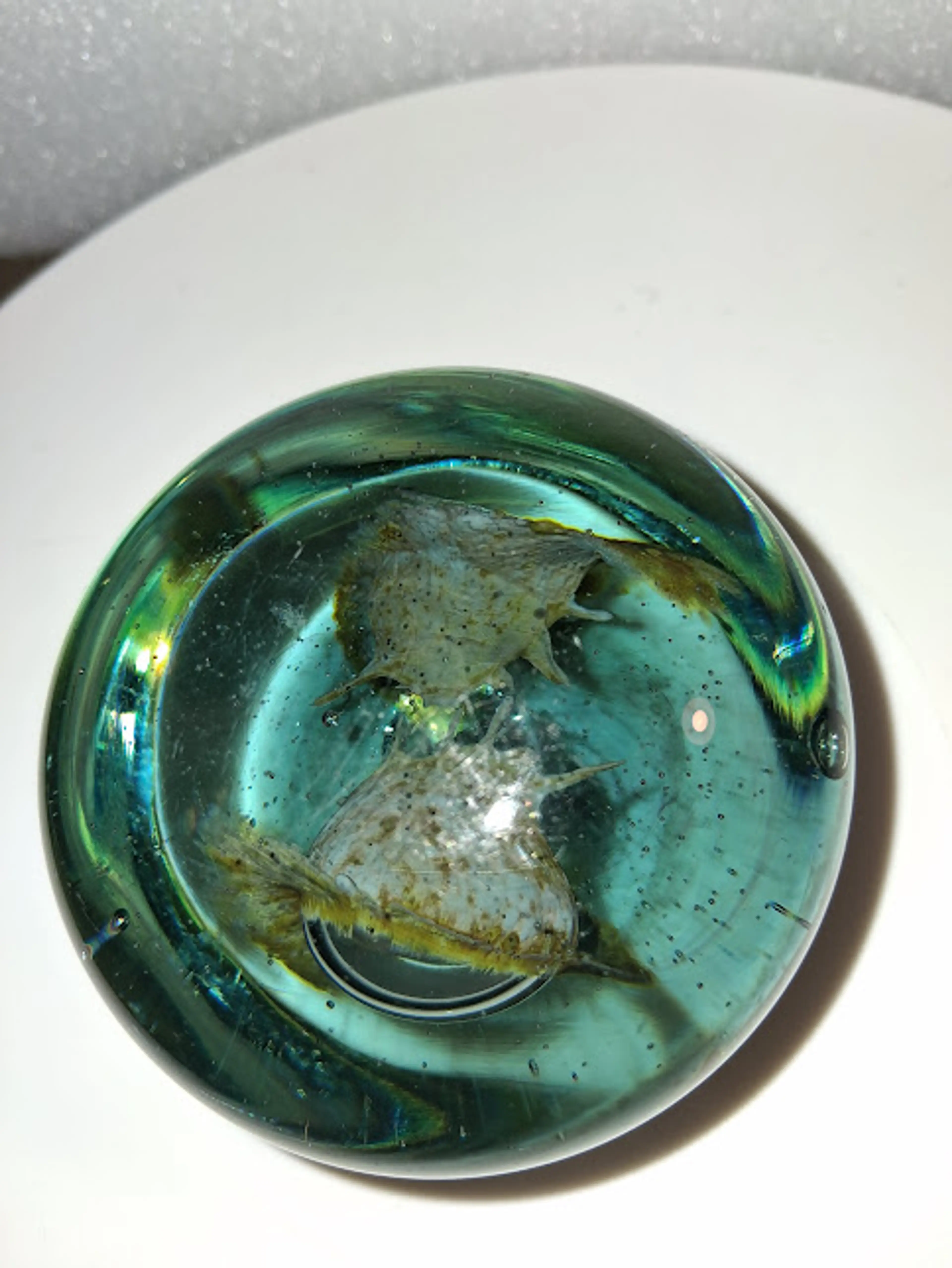 Image 4 of 8