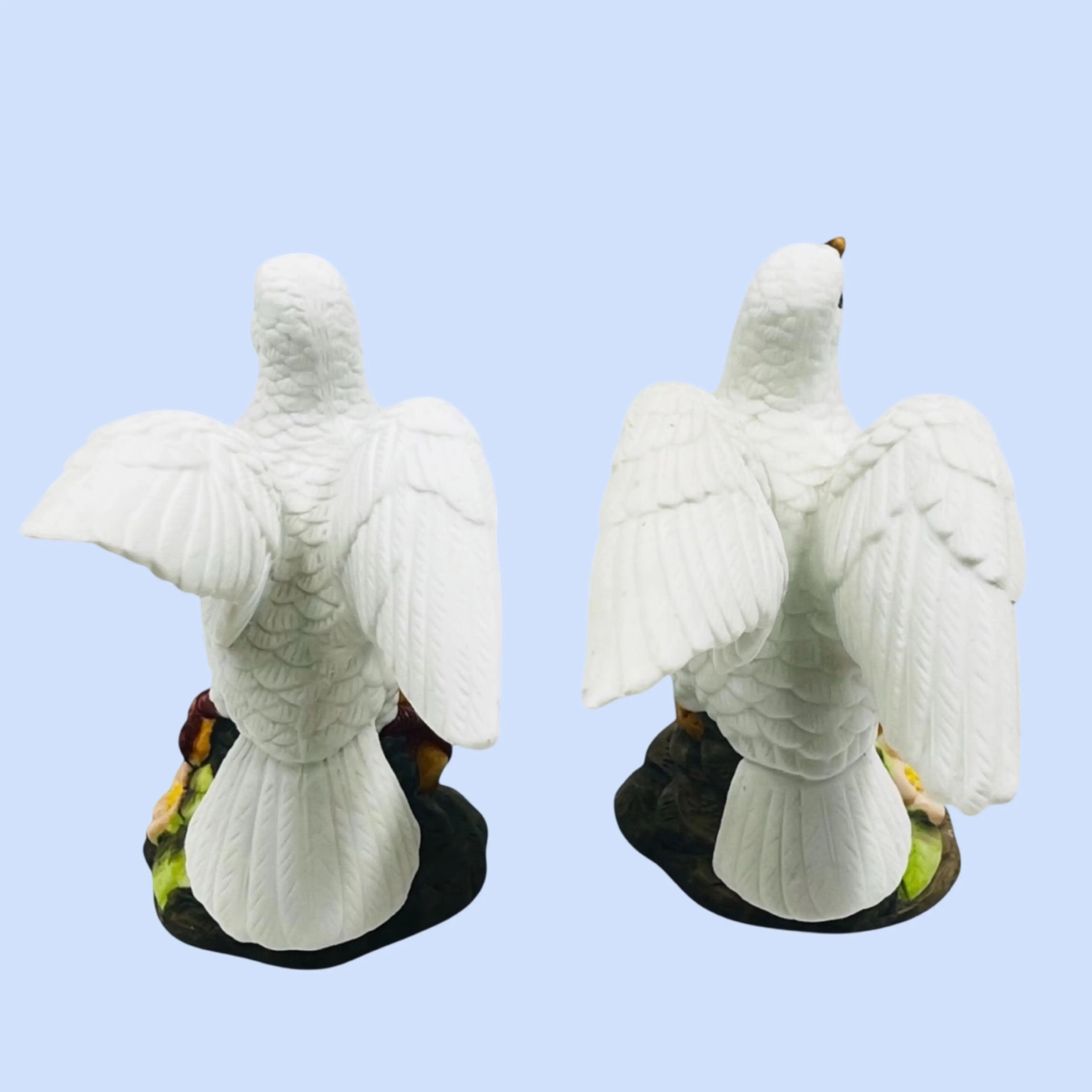 Image 5 of 12