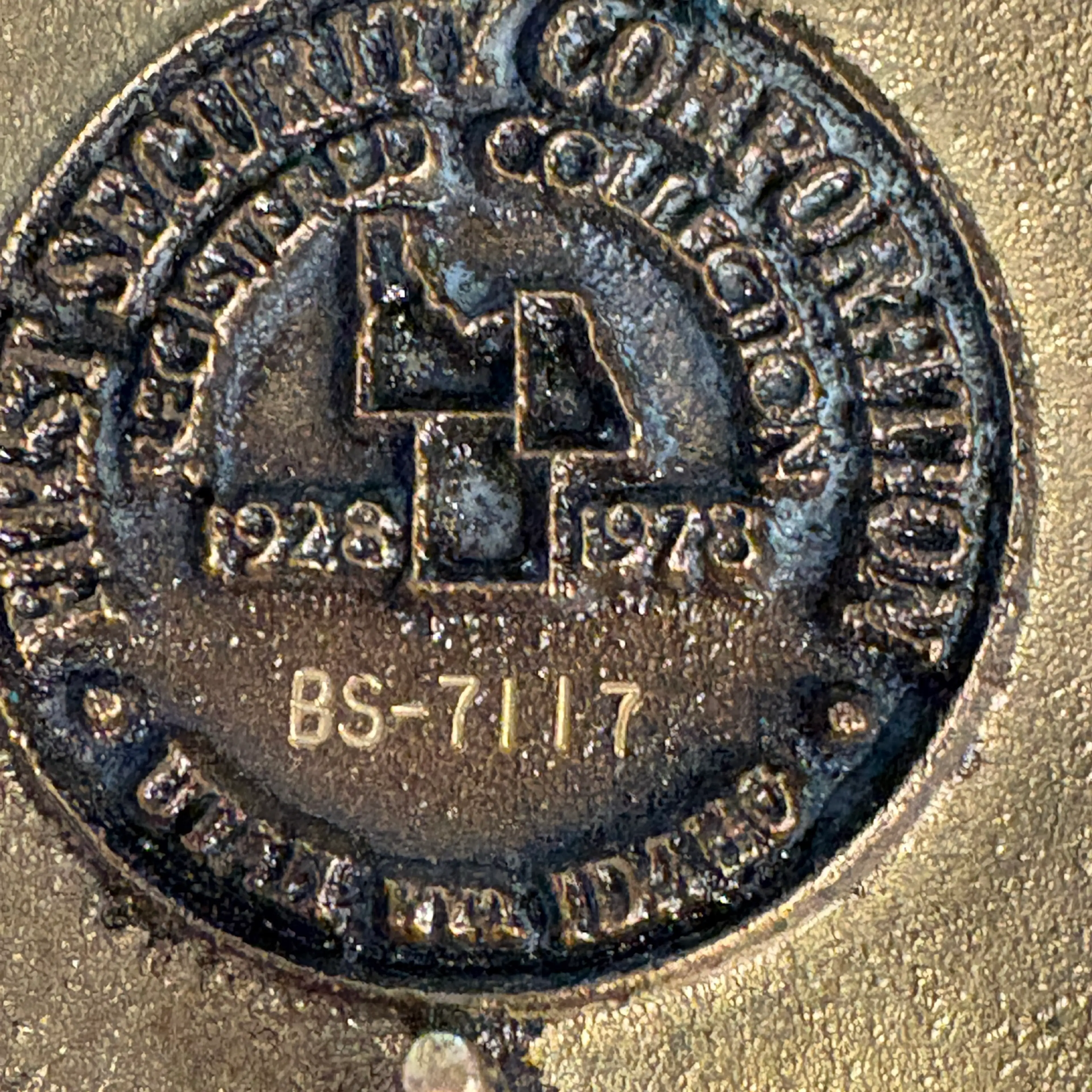 Image 4 of 11