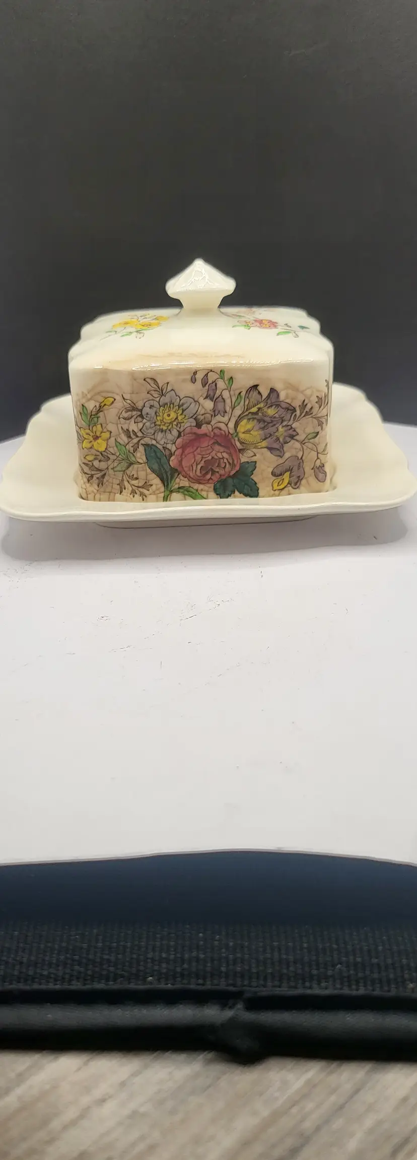 Vintage Floral Ceramic Cheese / Butter Dish with Lid Spode Gainsborough S245
