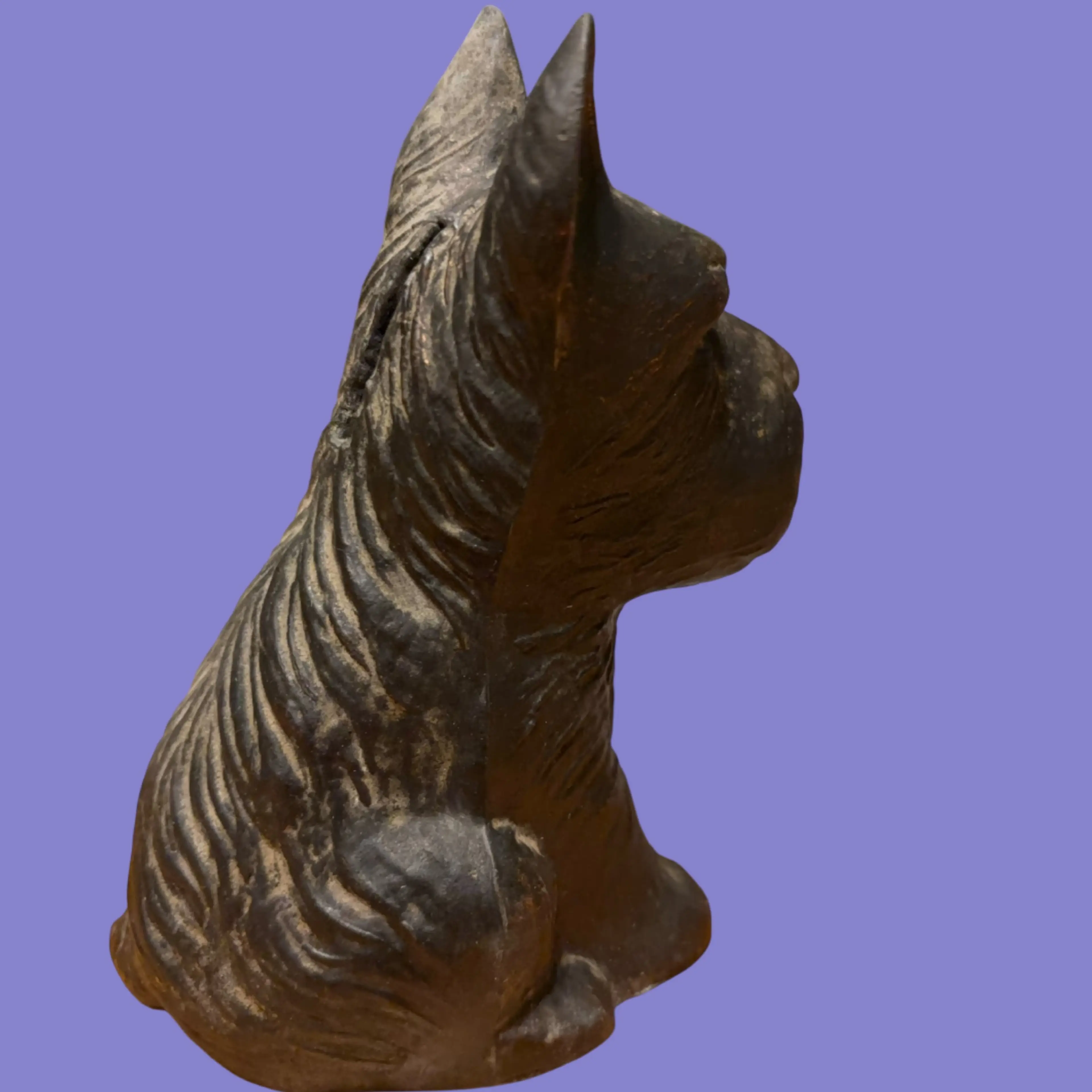Image 5 of 5