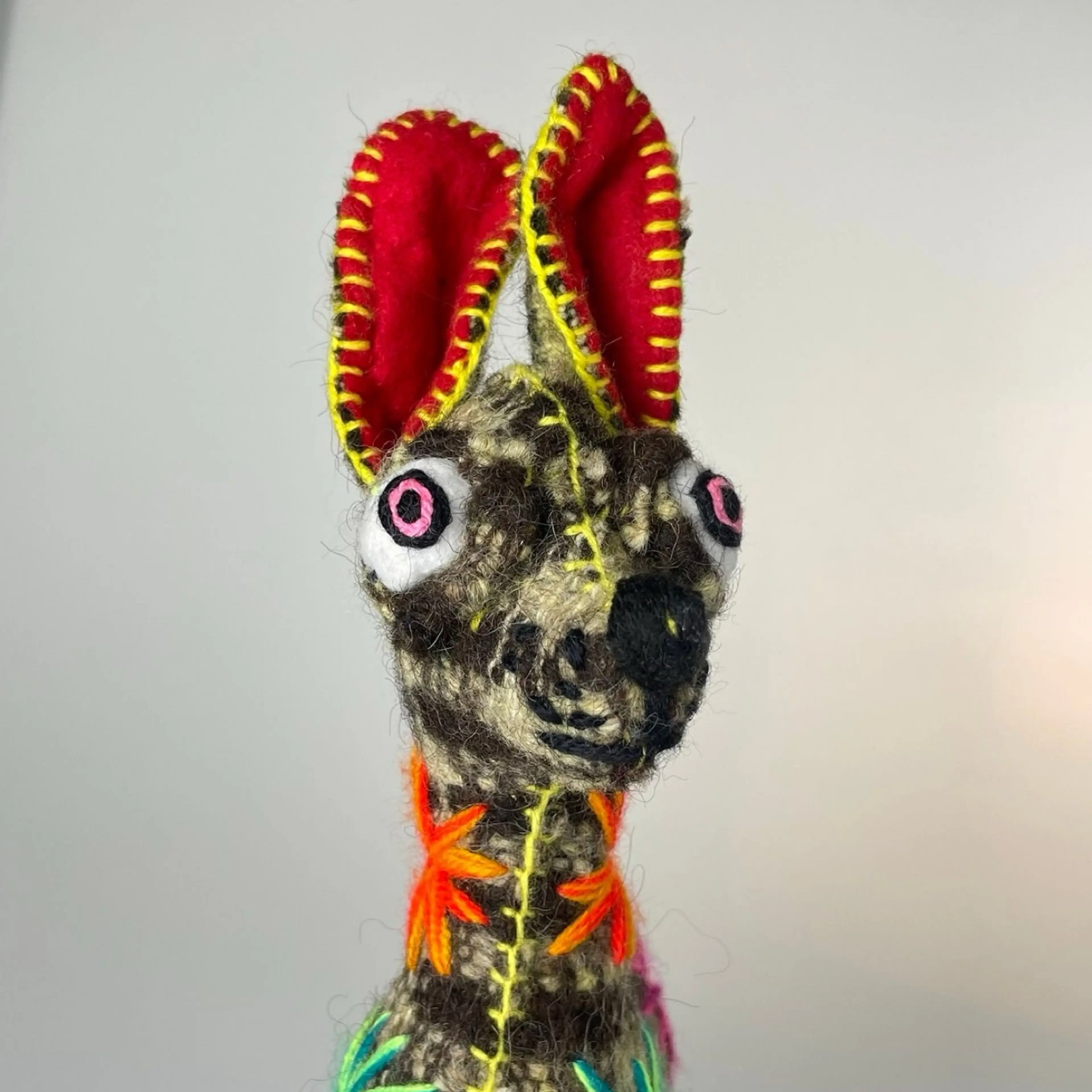 Image 2 of 14