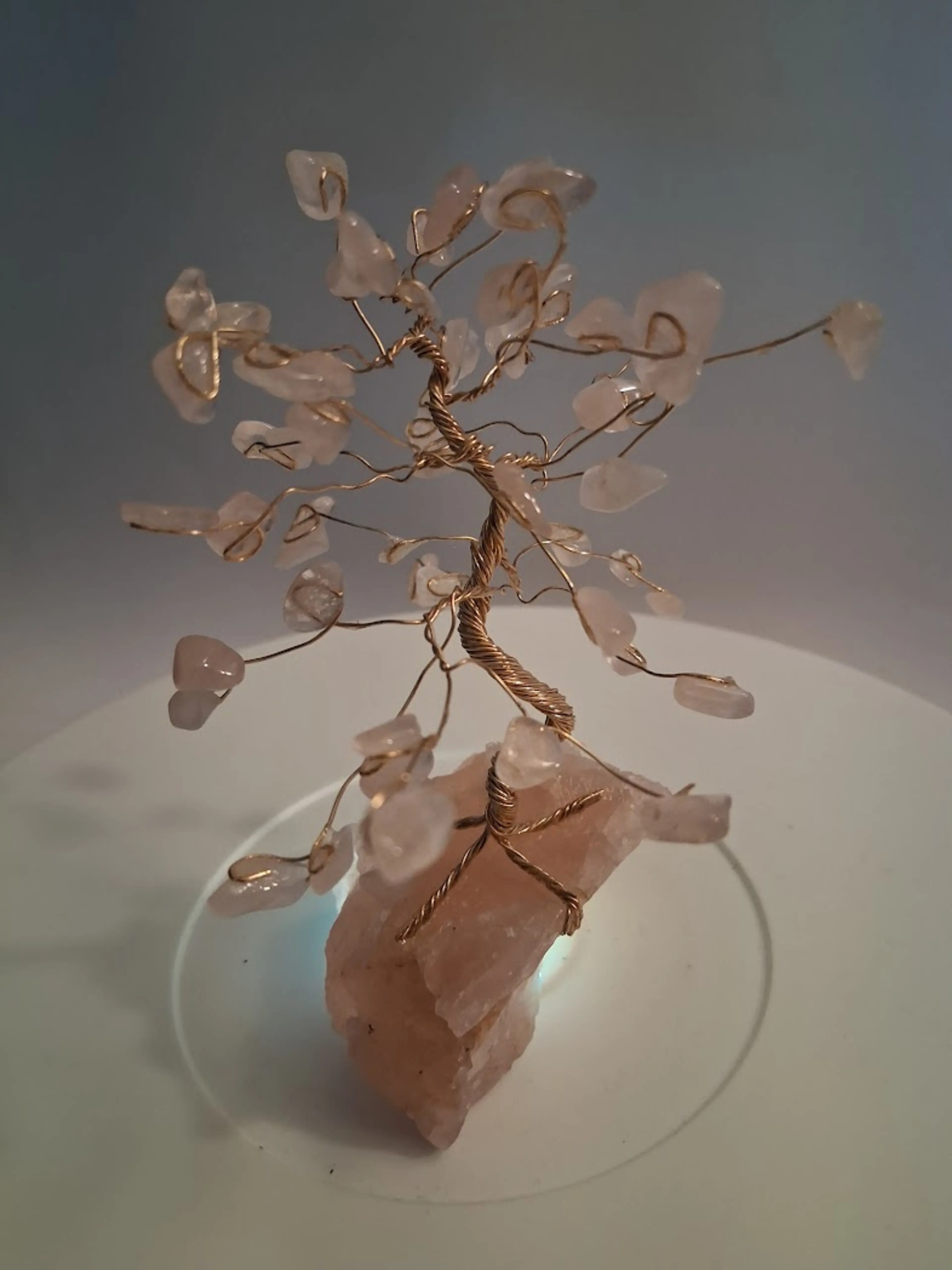 Image 3 of 5
