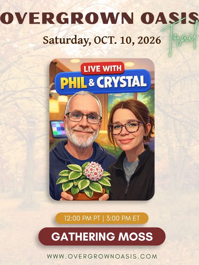 Livestream thumbnail